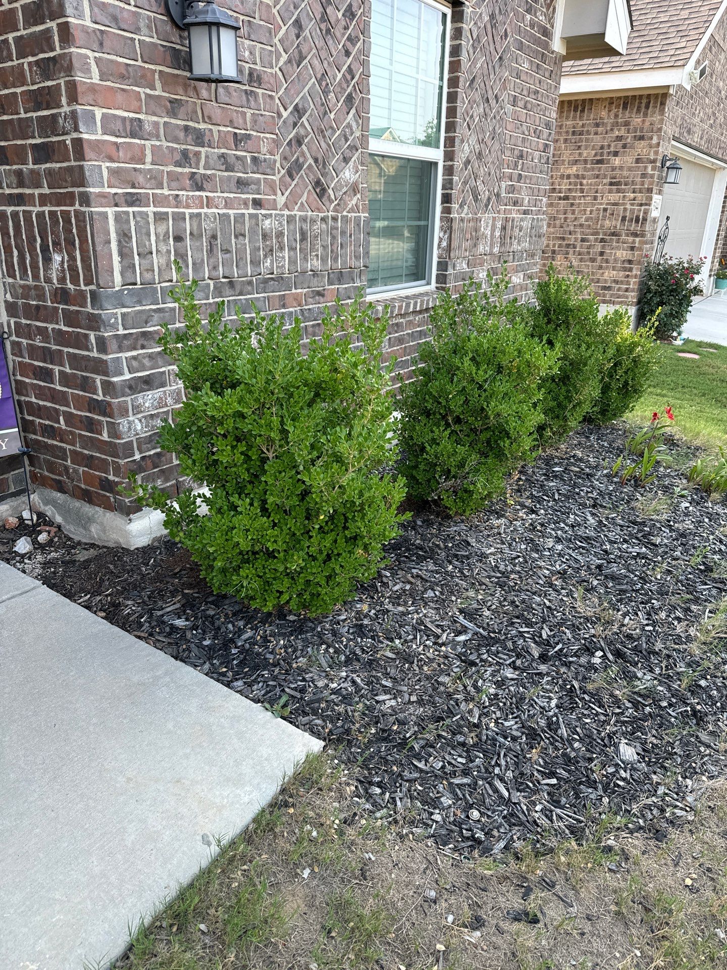 Wortham Oaks - San Antonio, TX by Hole In One Lawns, LLC