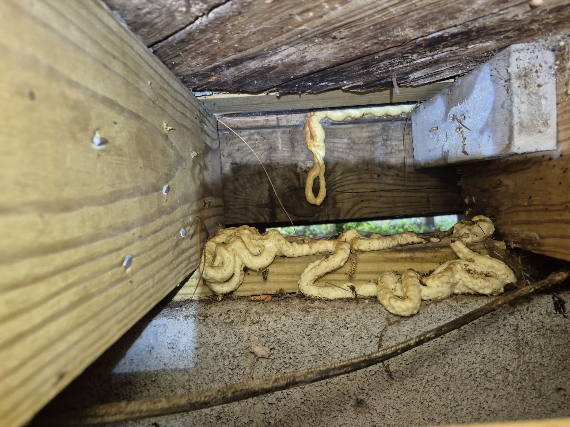 Project in Norfolk by Patriot Crawl Space Repairs