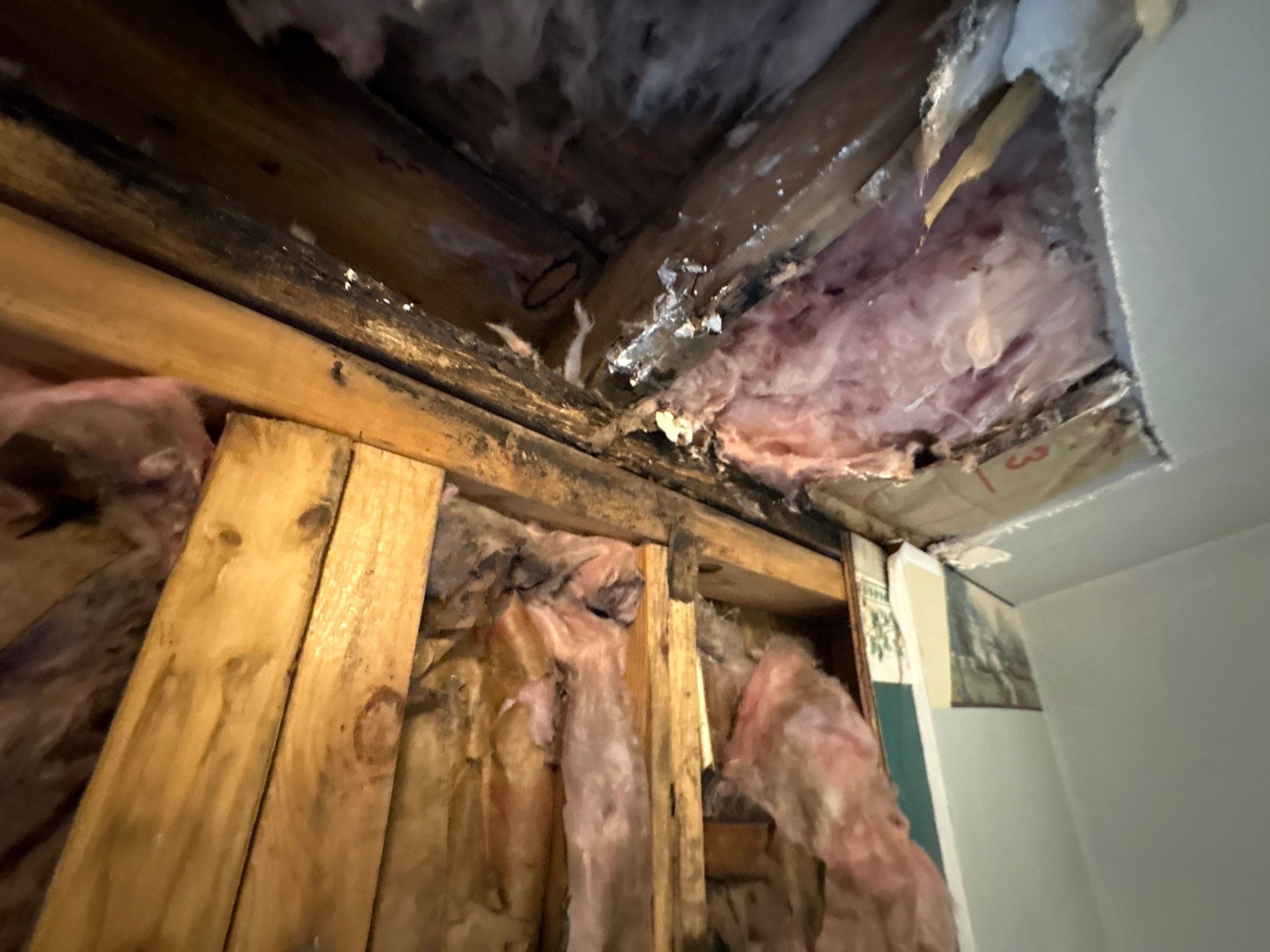 Project in Parker City by Trident Restoration, Inc