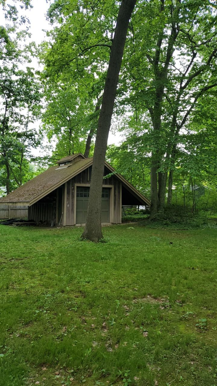 Tree Trimming using Tree Pruing by Mike Jones & Sons Tree Service LLC 