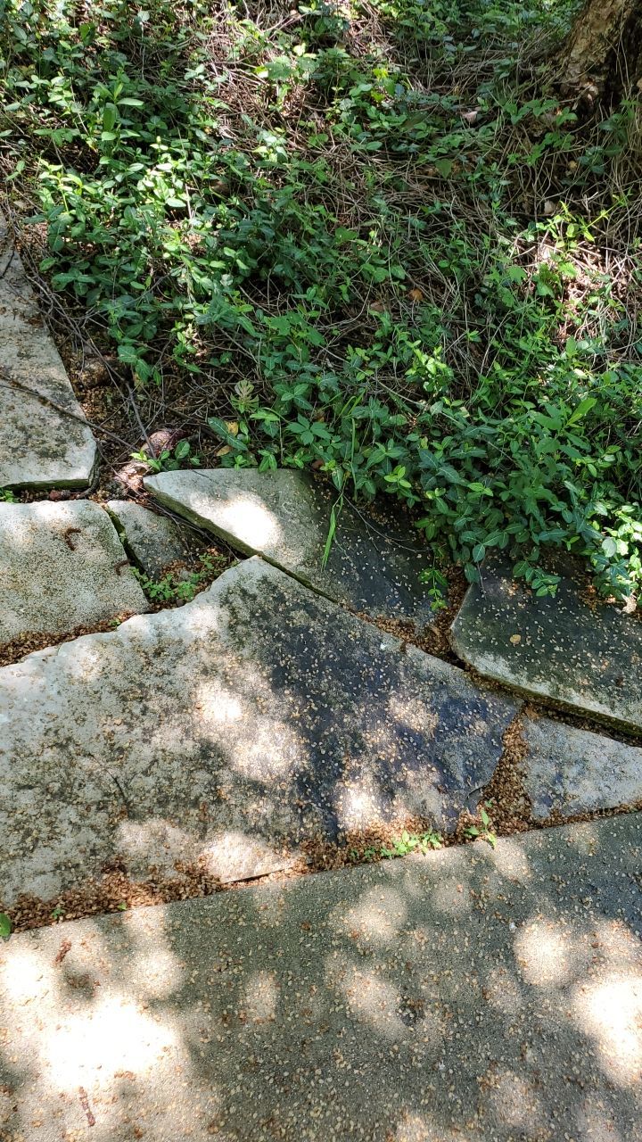 Exterior Stone and Concrete Surface Cleaning by Northern Power Washing LLC.