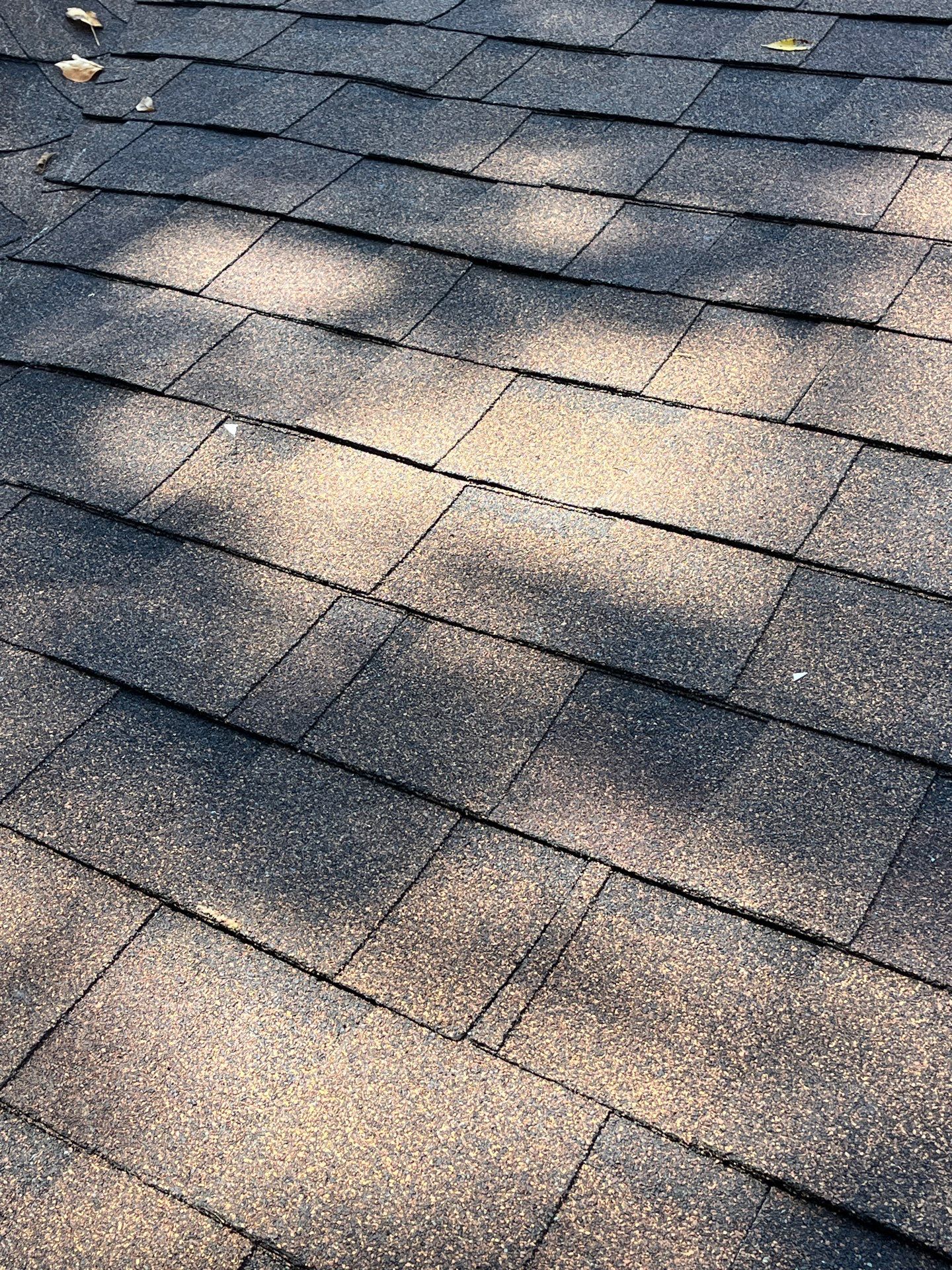 Vienna: Residential Roof Replacement with CertainTeed Landmark Designer Shingles in Burnt Sienna by RM Banning, Inc.