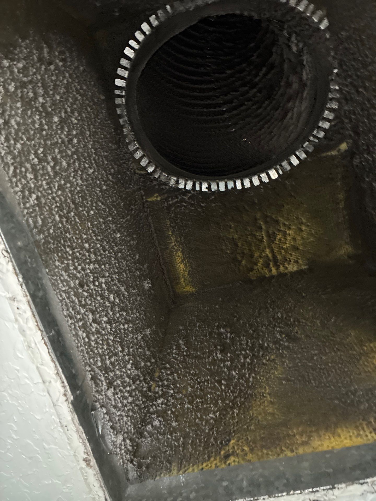 AIr Duct Cleaning in Clermont by Hygienic Air, Inc