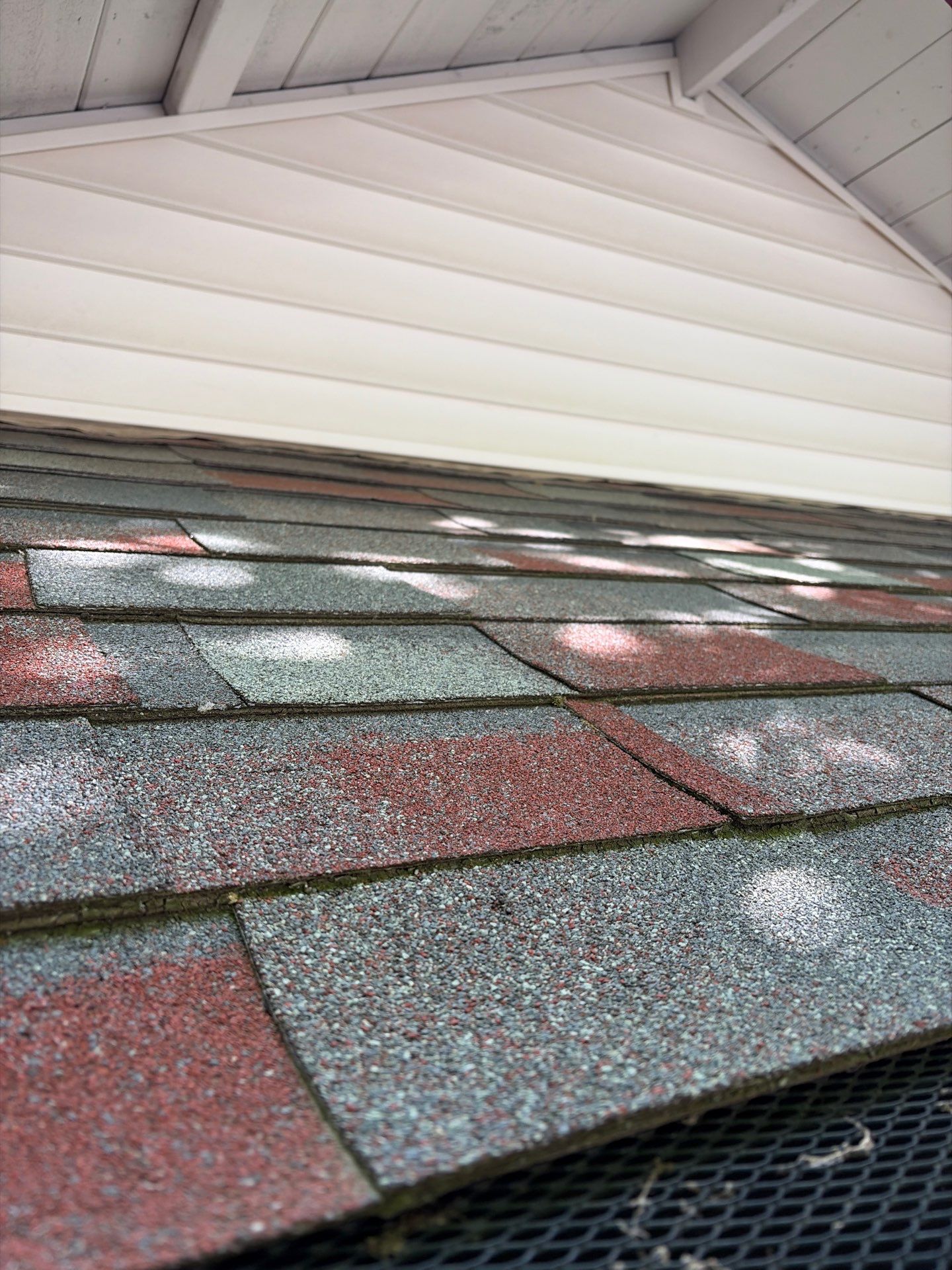 Roof Rejuvenation using Roof Maxx Treatment by Roof Maxx of Folsom