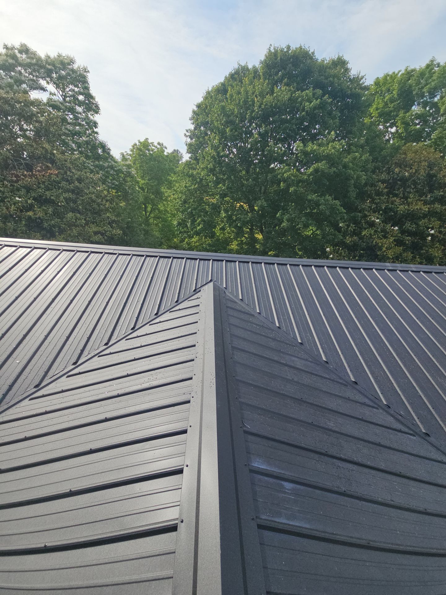 Malone Residence by Omnia Roofing