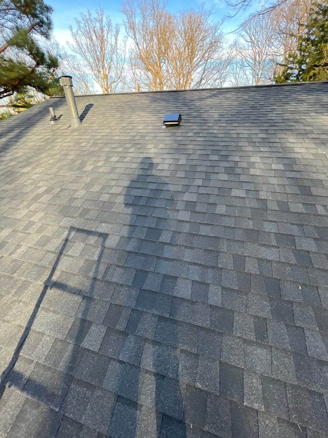Fairfax: CertainTeed Landmark Pro Designer Shingles in Max Def Charcoal Black by RM Banning, Inc.