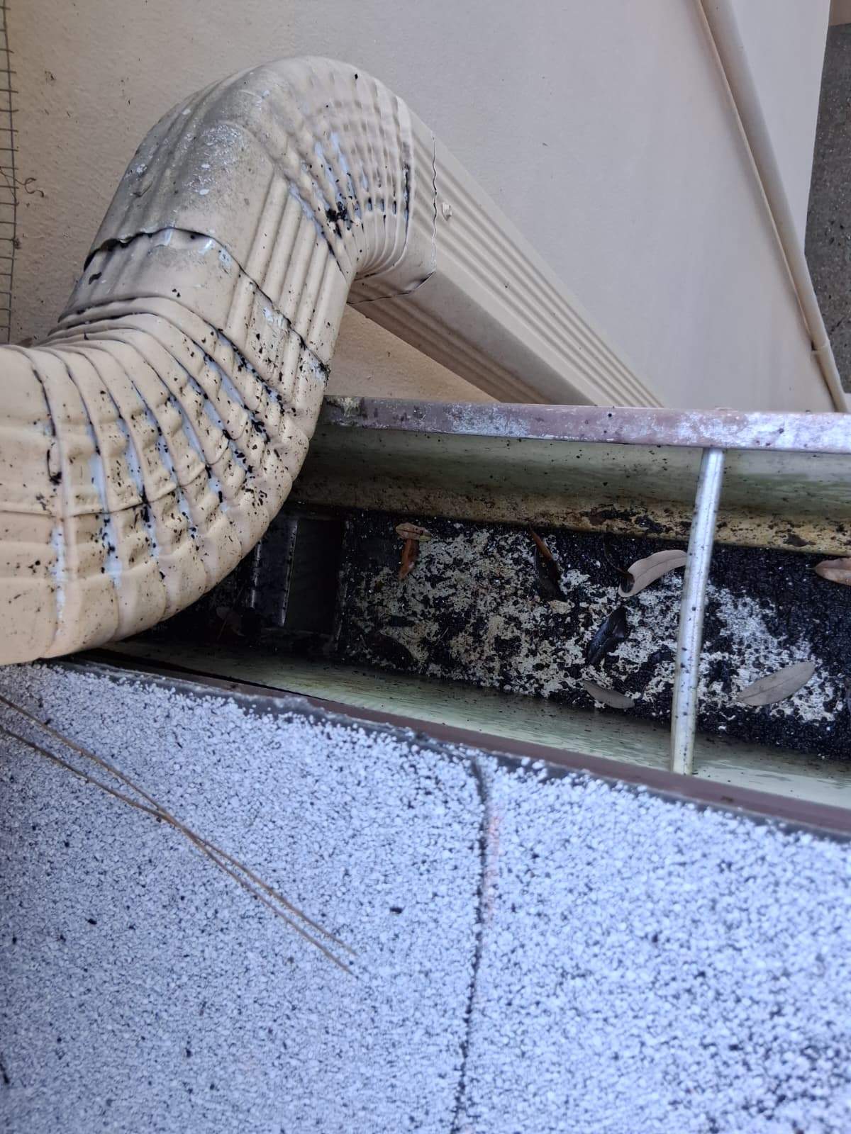 Gutter Cleaning Service in Sarasota FL by Gutter Professors