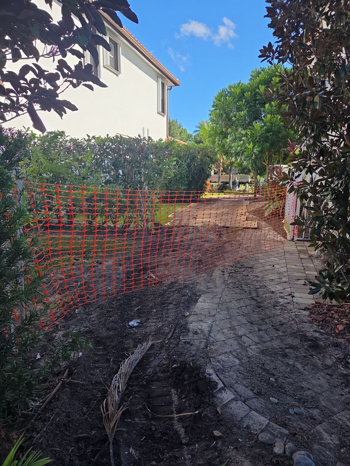 Hammock Creek Estate | Phase 1 – The Art of Precision Removal by Alpha Zeta Enterprises Inc