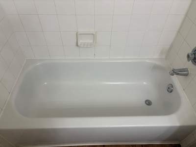 Bathtub Deep Clean