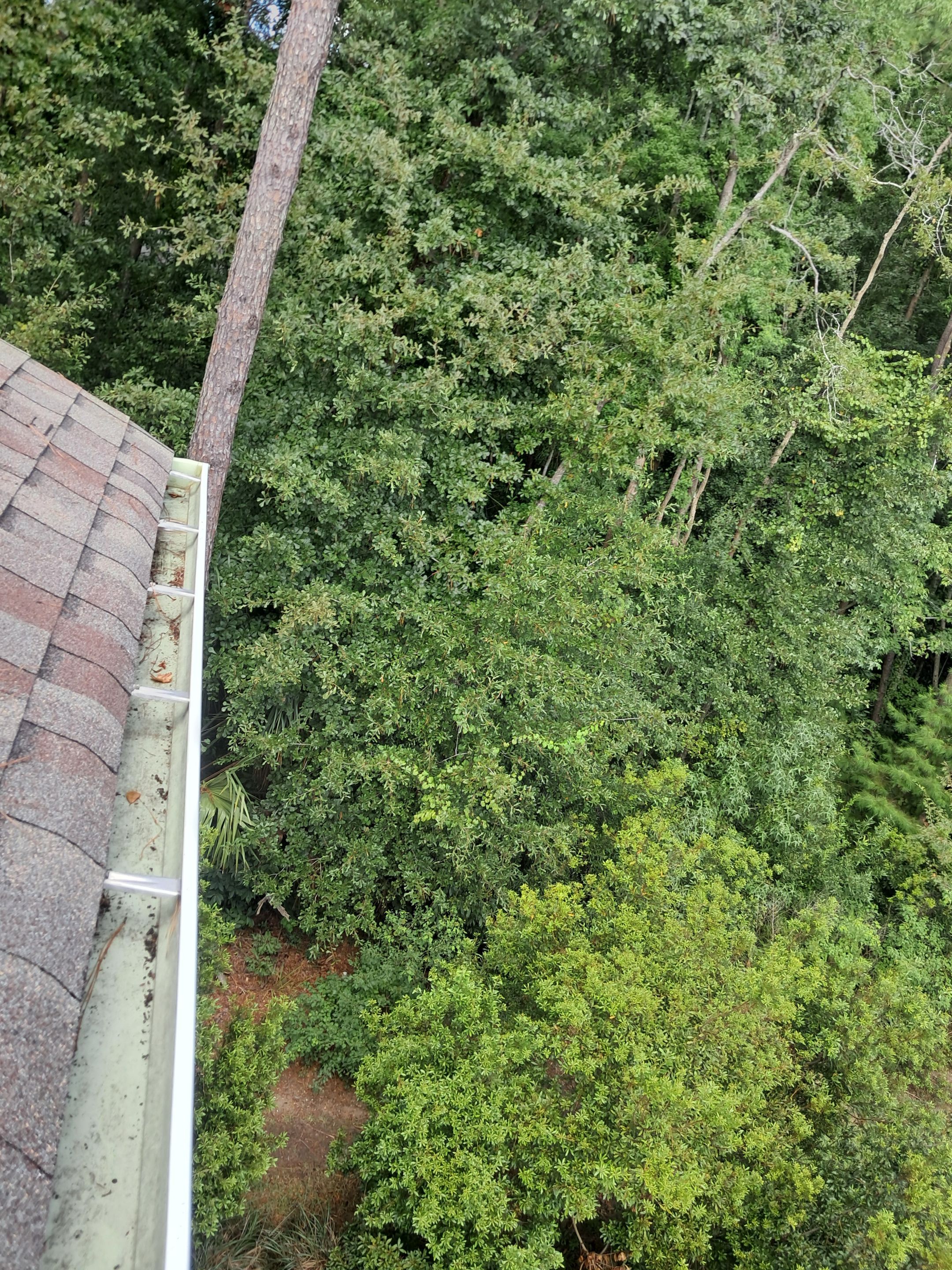 Commercial gutter cleaning Charleston after photo with clean gutters
