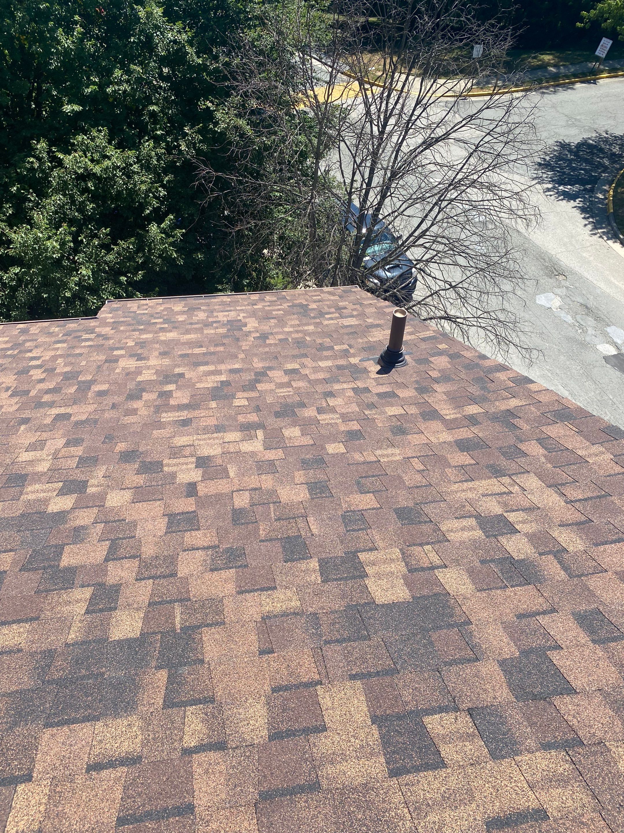 Alexandria: Roof Replacement with CertainTeed Landmark Pro in Max Def Burnt Sienna by RM Banning, Inc.