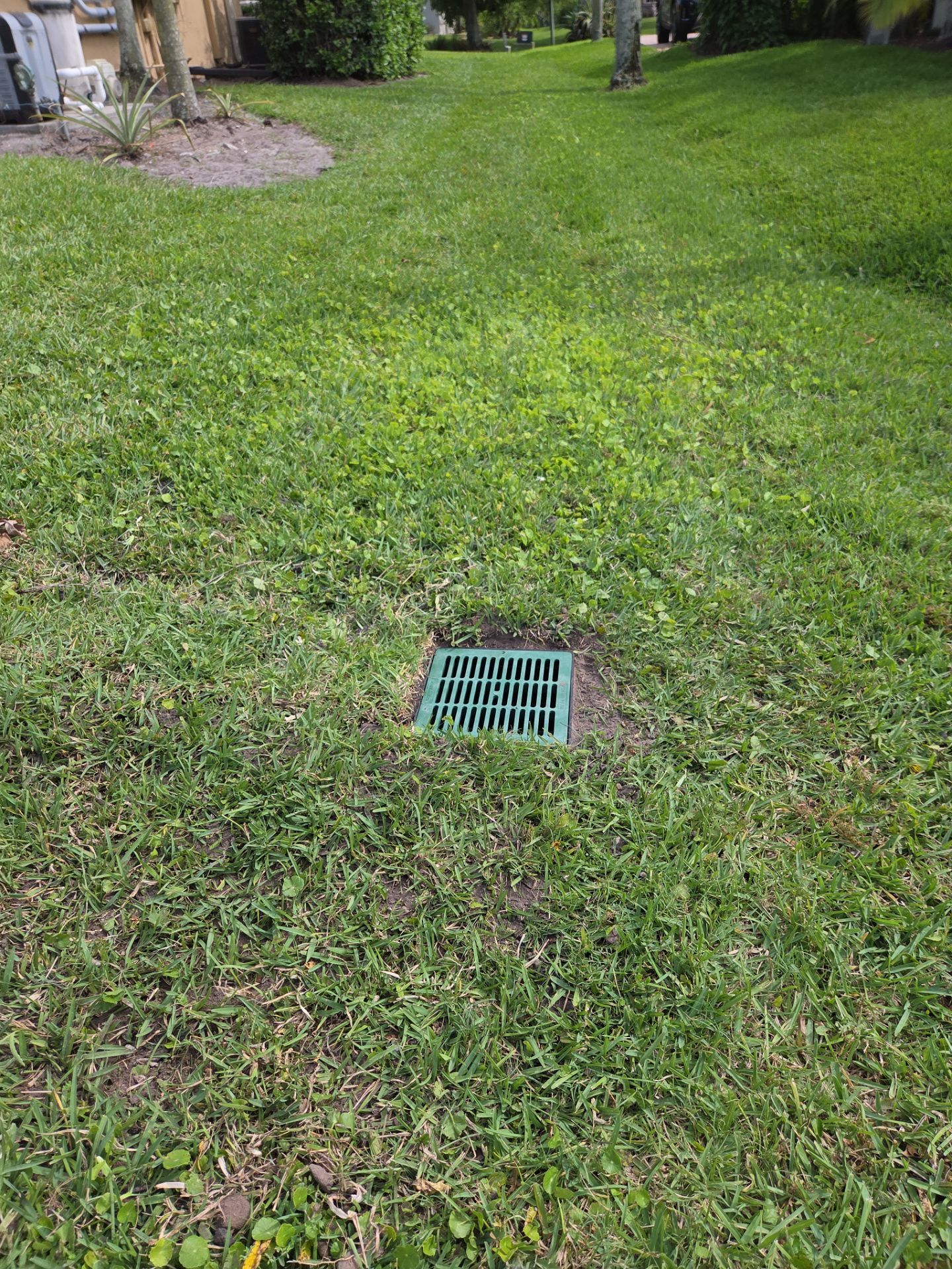 💧 Another Drainage Problem in Palm City... Solved. 💪 by Alpha Zeta Enterprises Inc