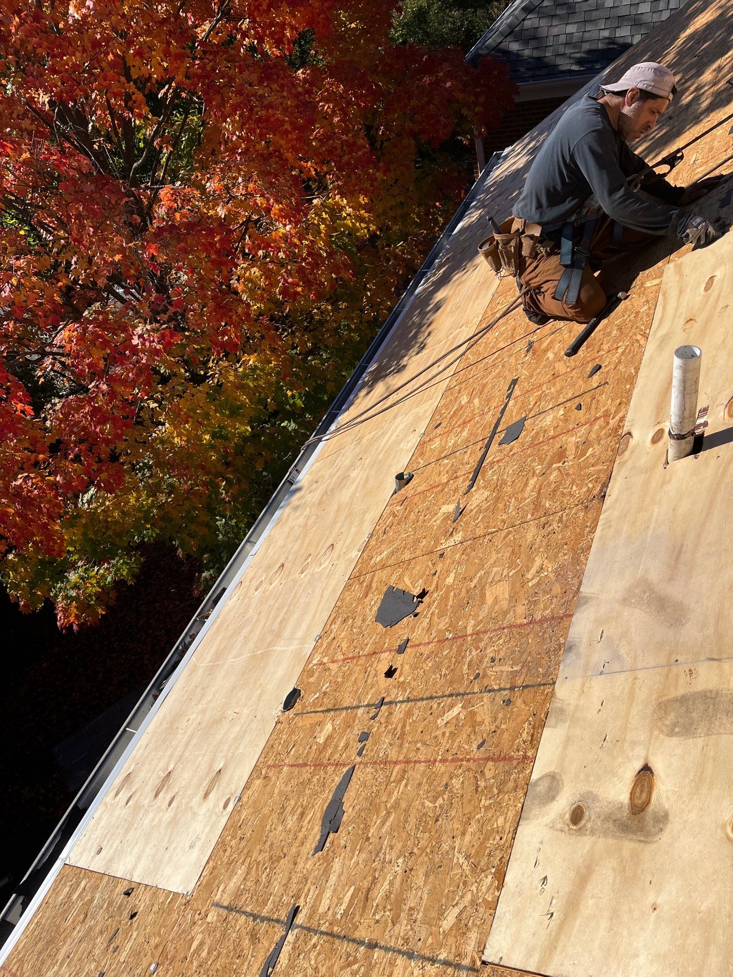 Alexandria: Residential Roof Replacement with CertainTeed Landmark Pro Designer Shingles in Max Def Moire Black by RM Banning, Inc.