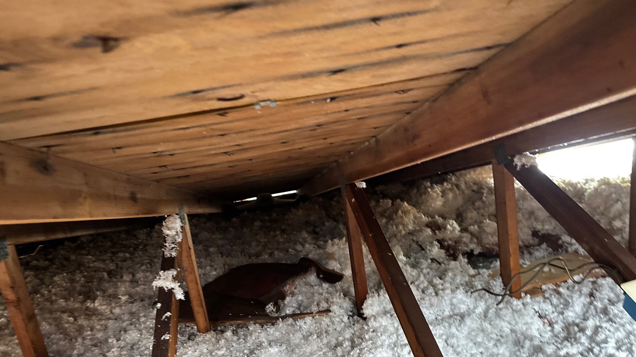 Roof Replacement using Owens Corning Estate Gray by 180 Contractors