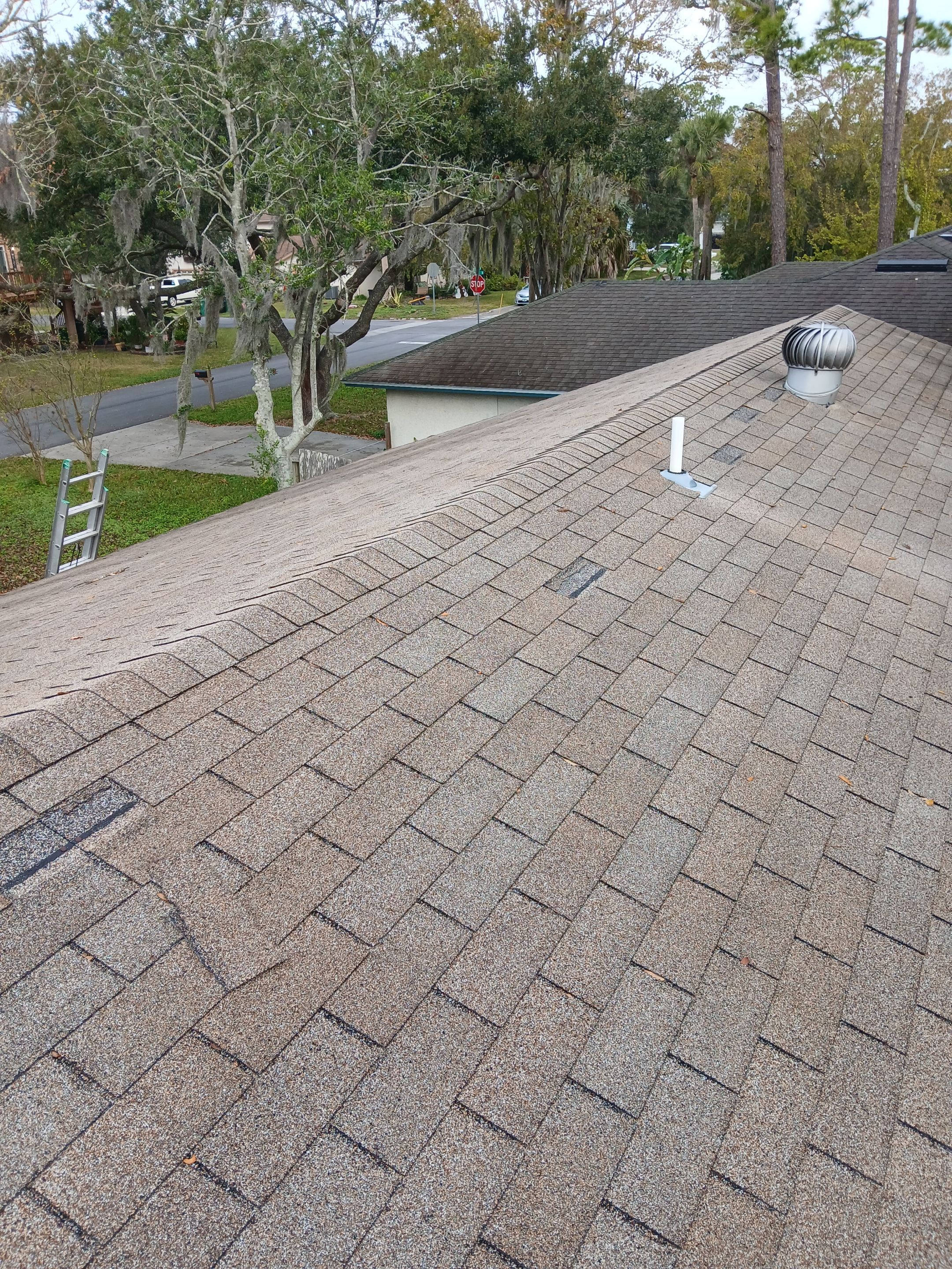 Shingle -> Shingle by Prime Roofing
