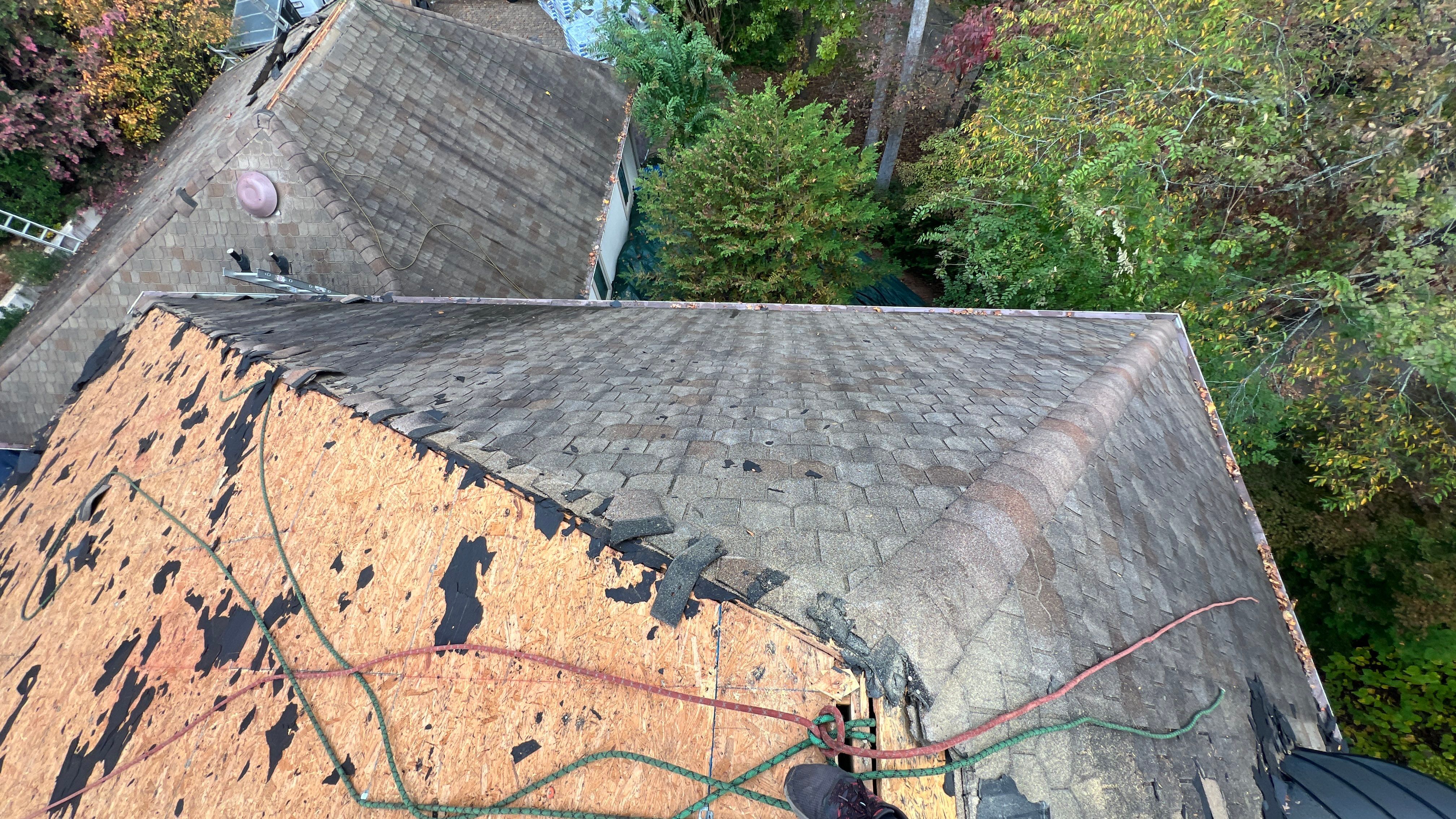 Catherine Cutter by United Contracting and Roofing