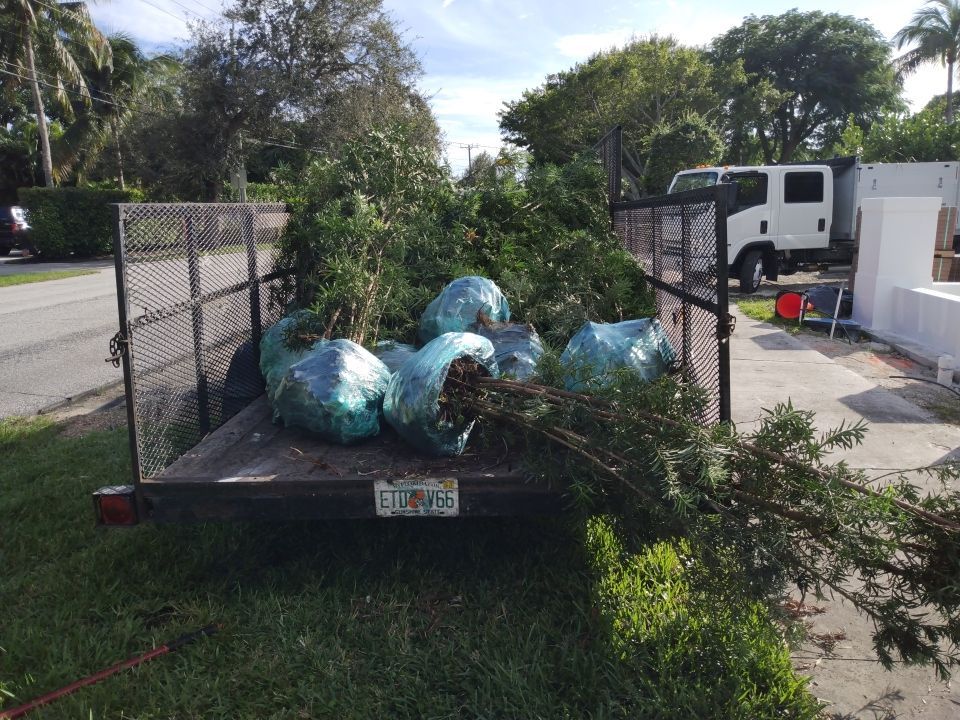 Hazard  by The Landscaping People