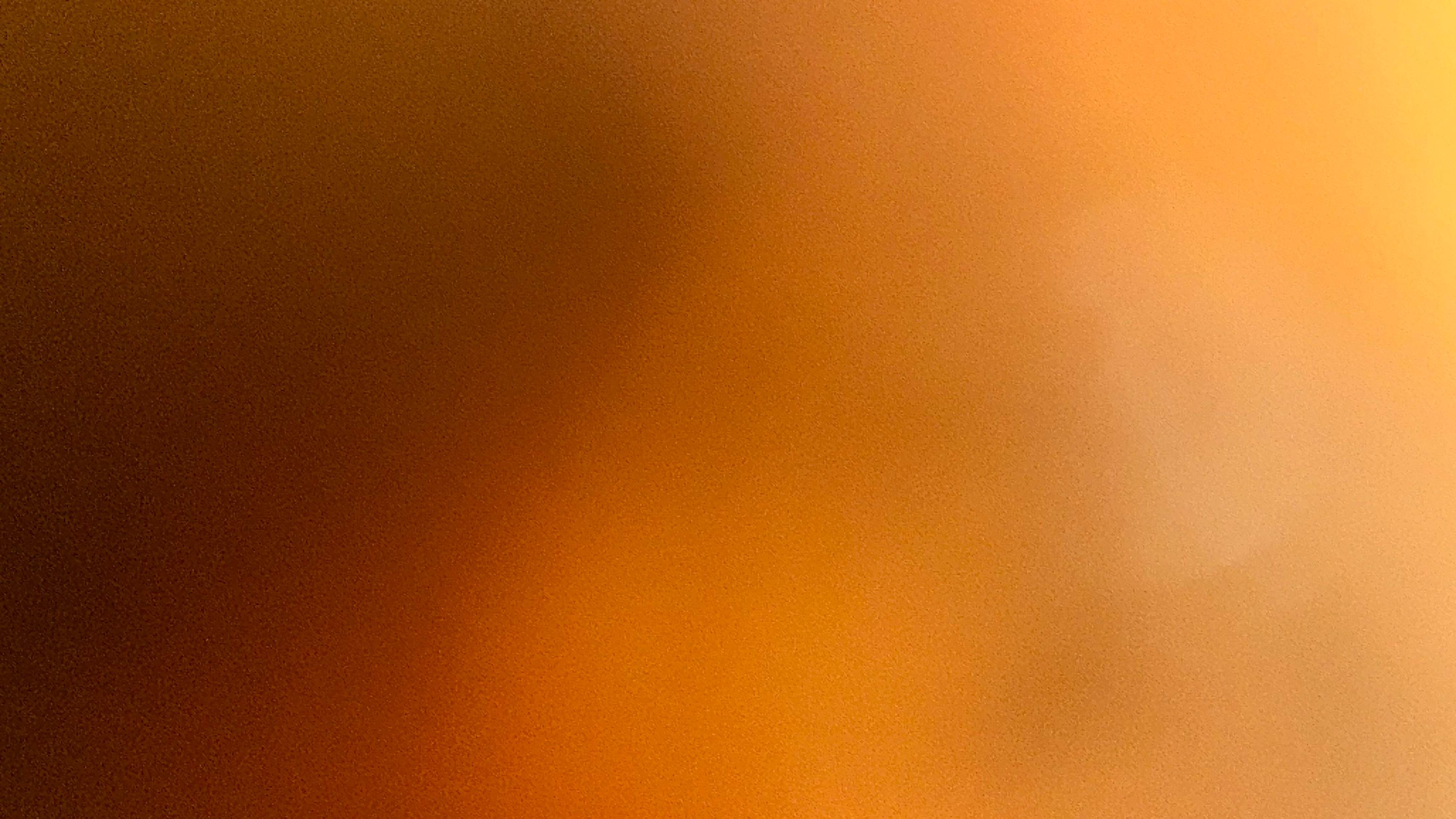 Art Gallery by Rockwall Honey Bee Company