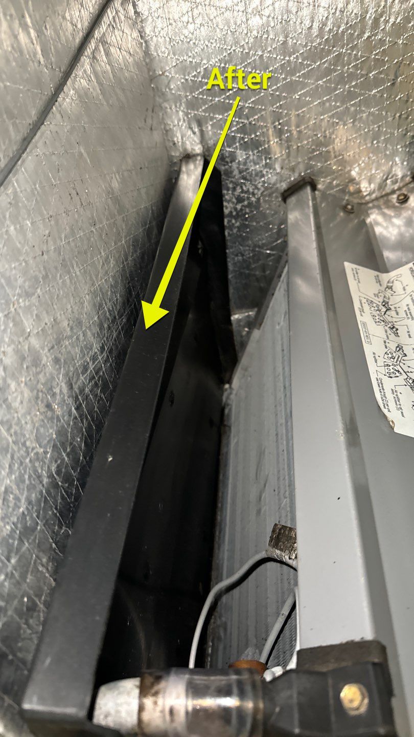 Air Duct Cleaning in Tavares by Hygienic Air, Inc