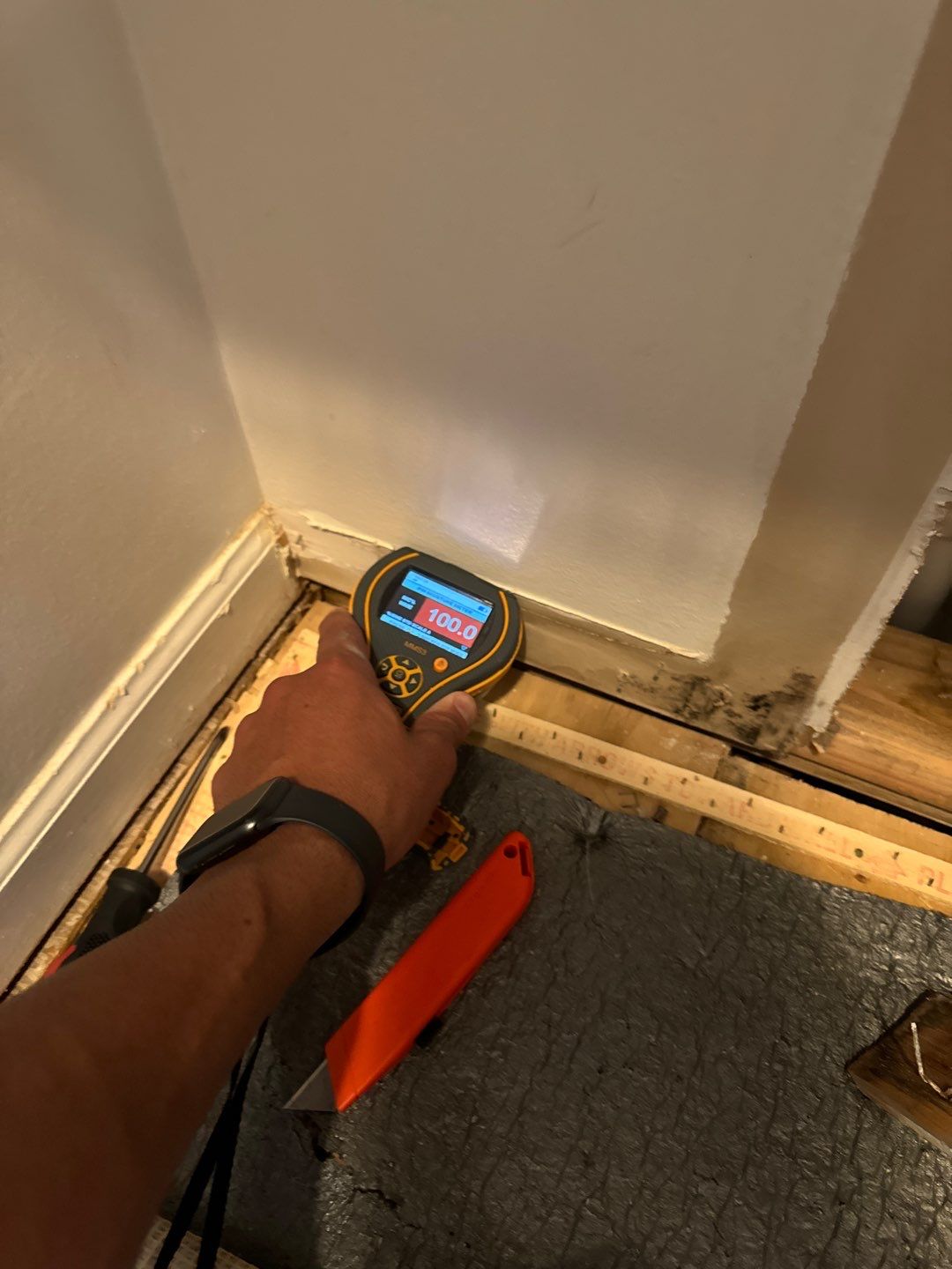 Project in Novi by EzDry Water Mitigation & Property Restoration