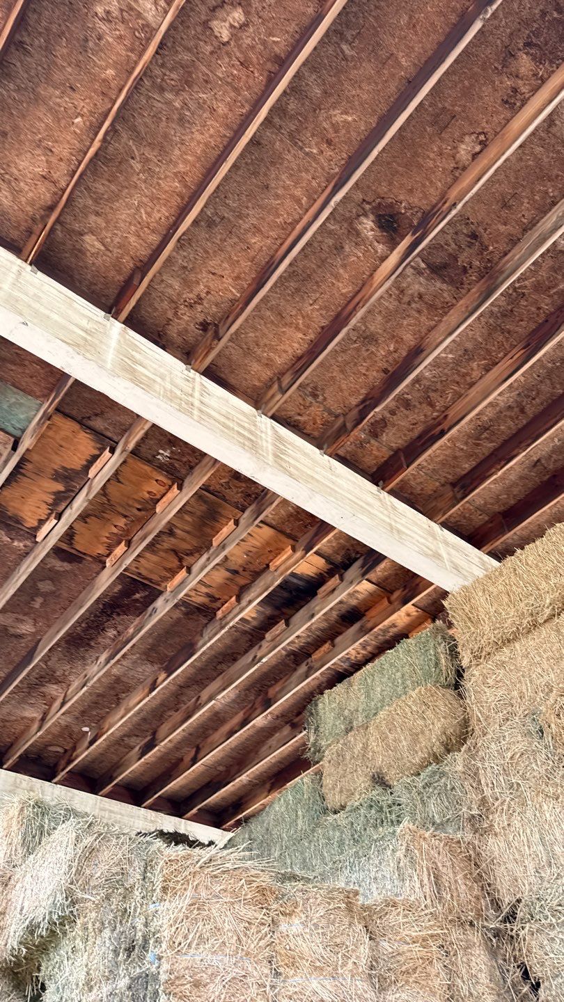 Metal Roof Silicone Coating and Structural Repair in San Ysabel by Reliable Roofing San Diego Inc.