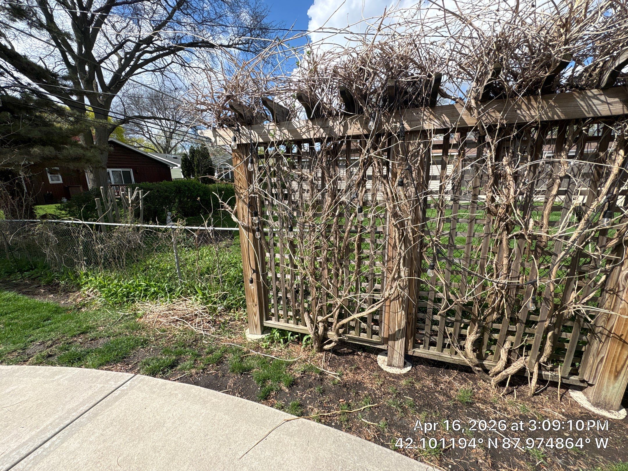 James F. - Arlington Heights, IL by A&N