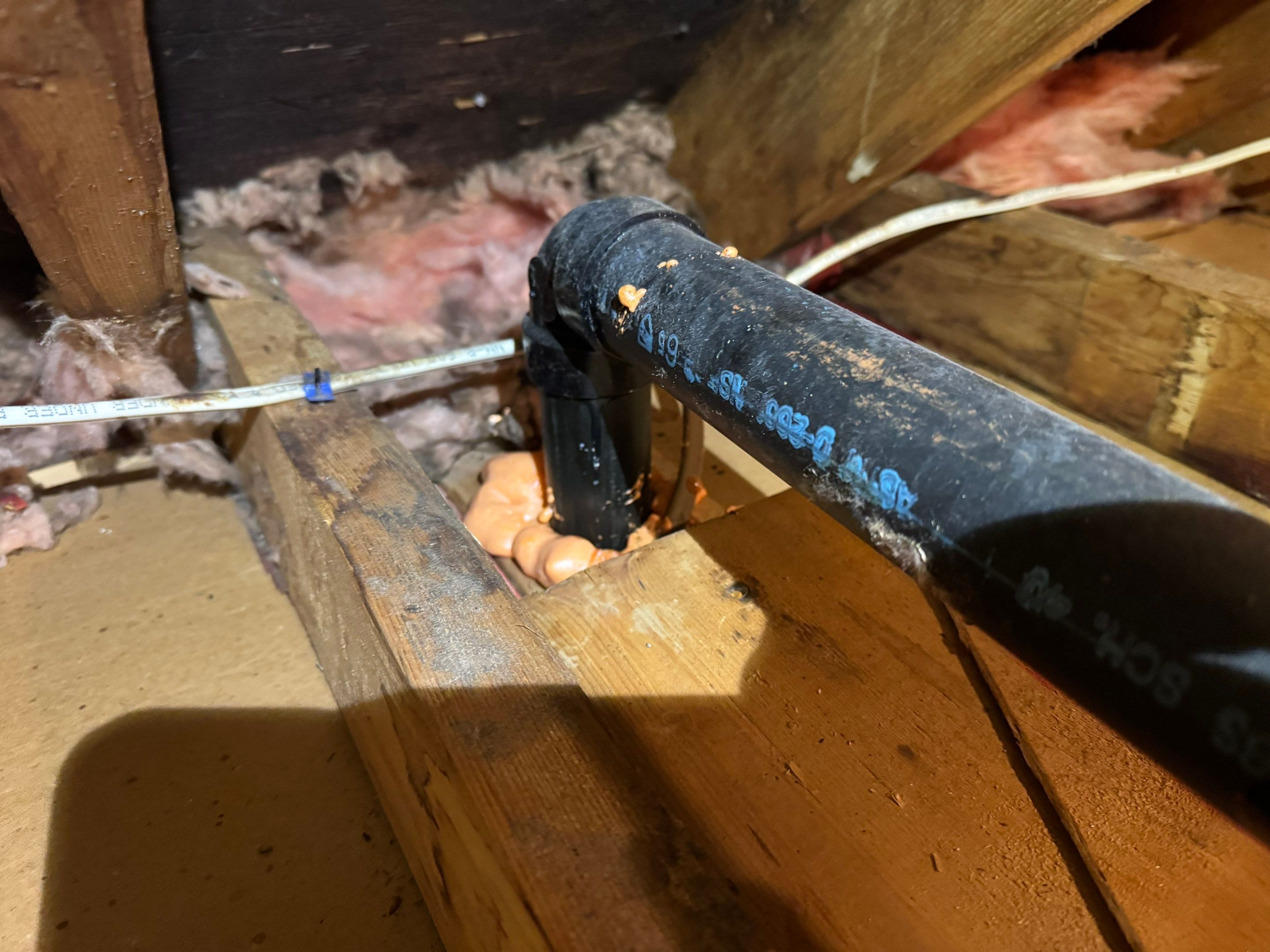 Attic Mold Remediation using Home Guarantee by Home Guarantee, LLC