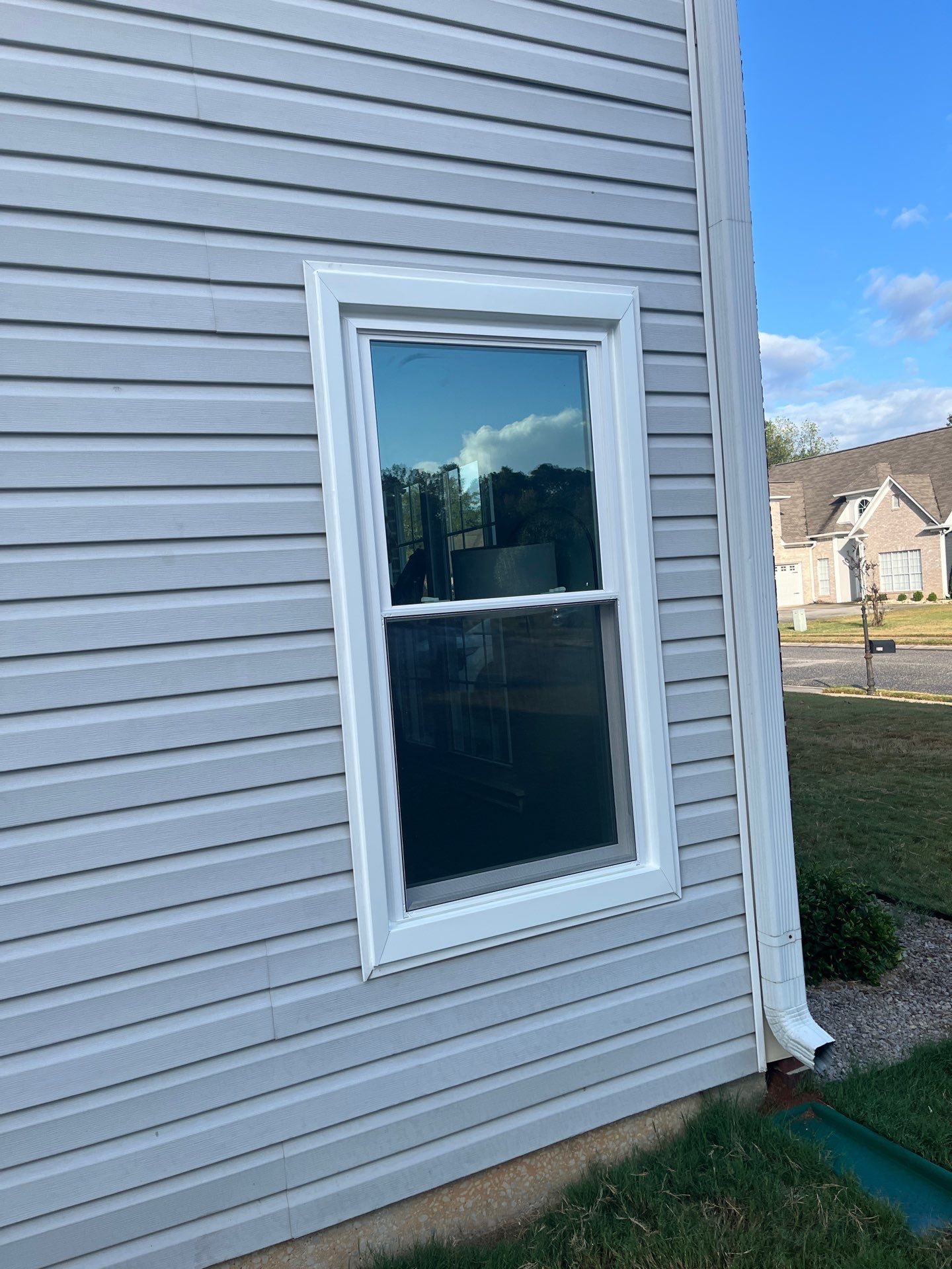 St Cyr Project in Helena by The Window Source