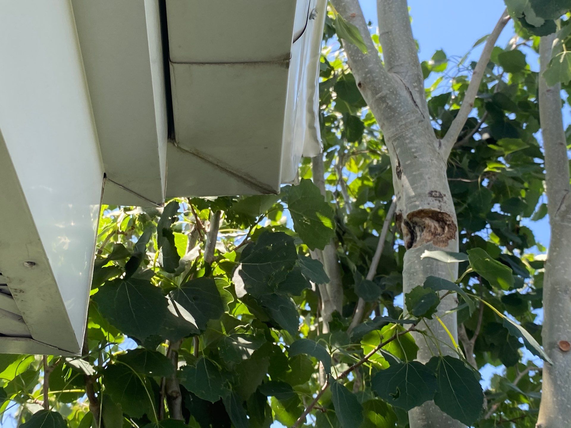 Project in sandy by Emerald Gotcha Gutters 