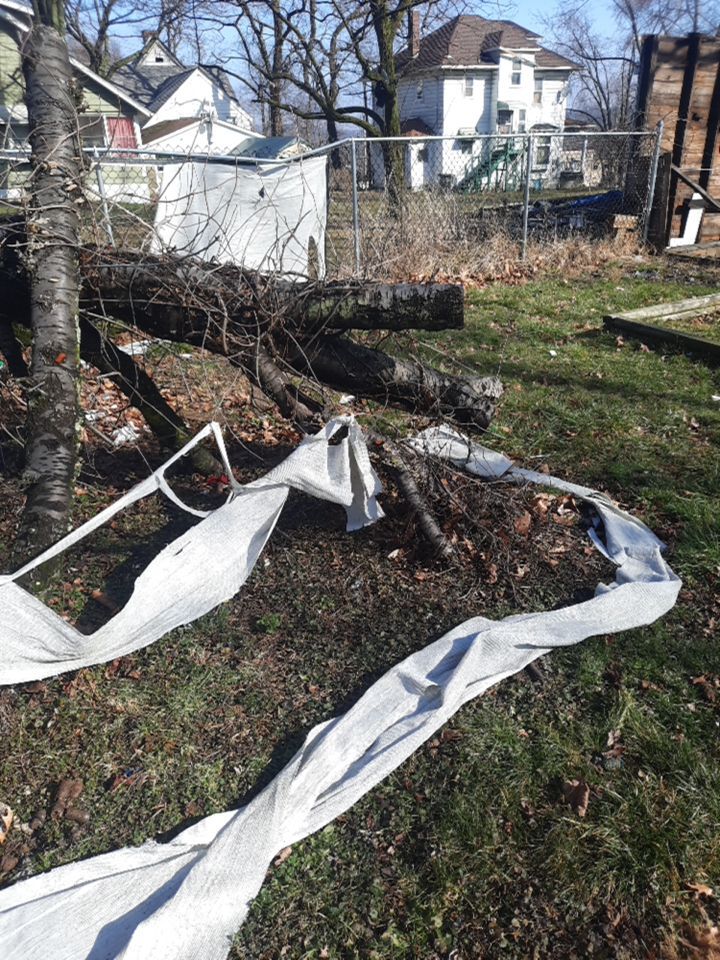 Tree Removal using Tree Removal by Mike Jones & Sons Tree Service LLC 