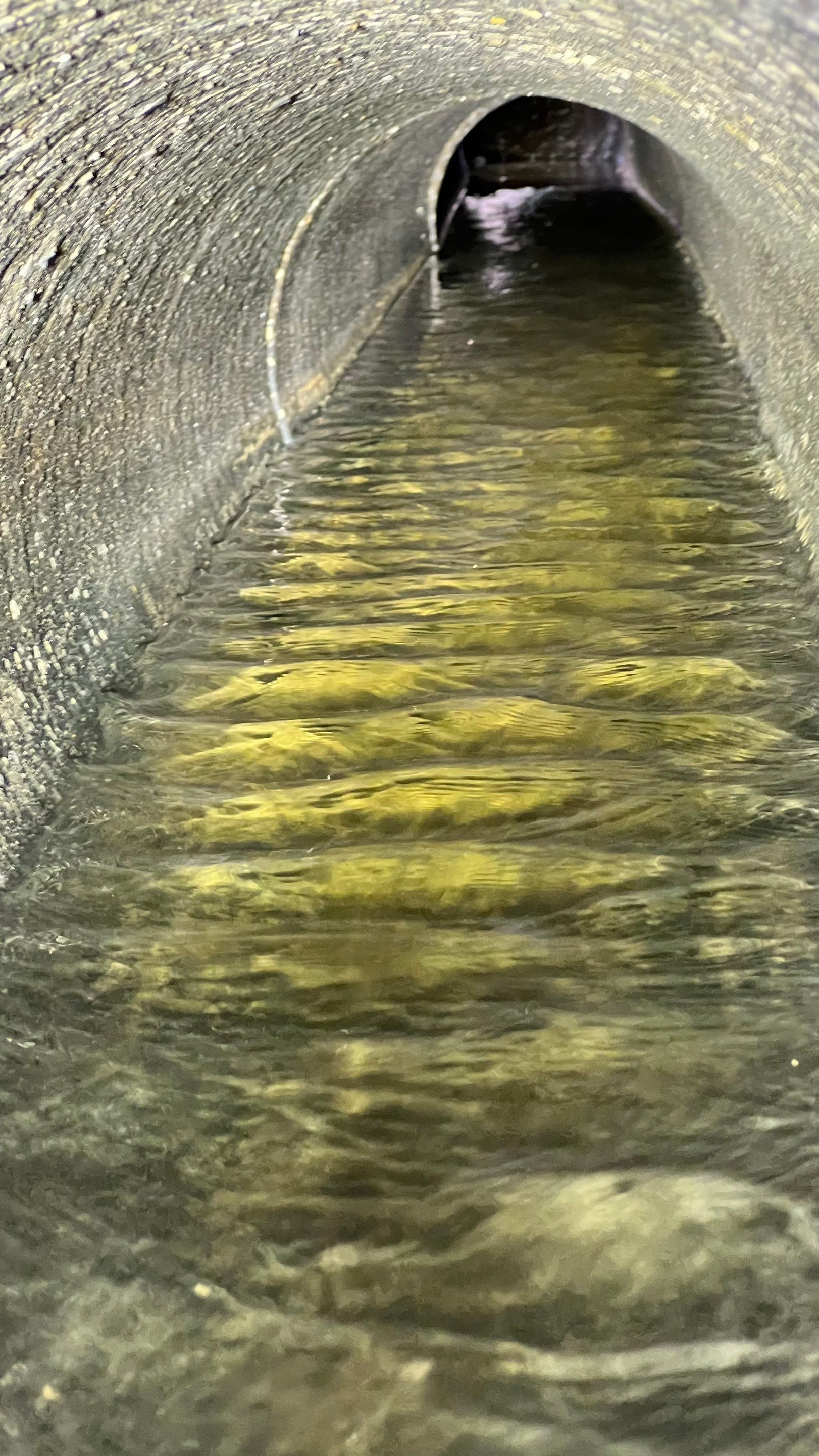 Naples Community Storm Water System Maintenance by APS Power & Water
