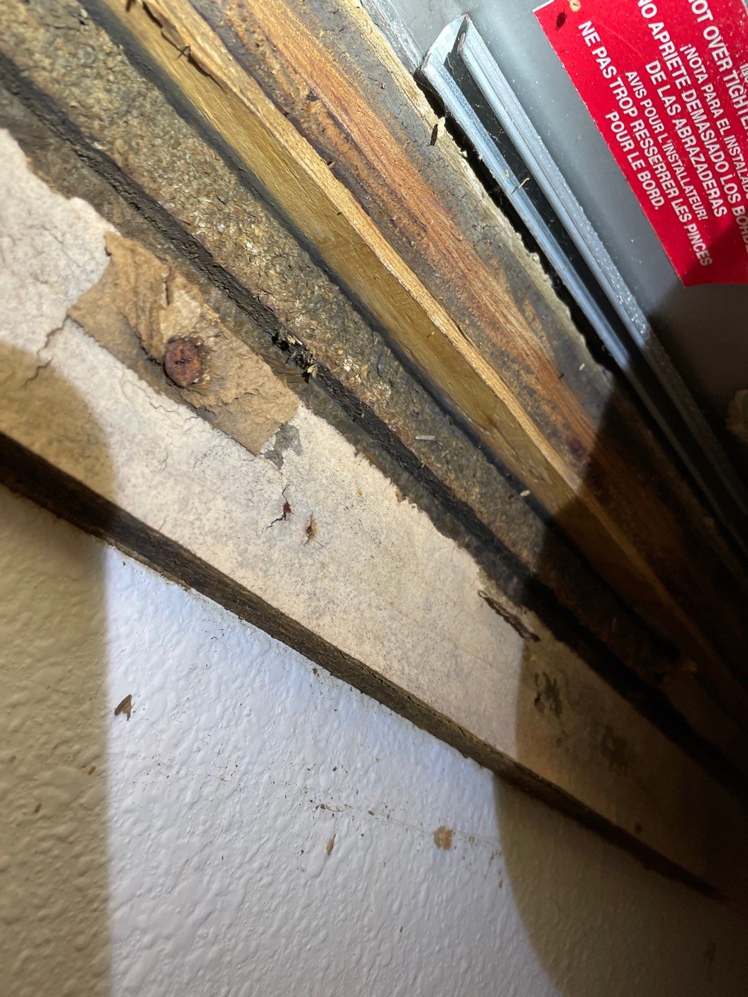 Mold Damage Project in Littleton by Accountable Home Services