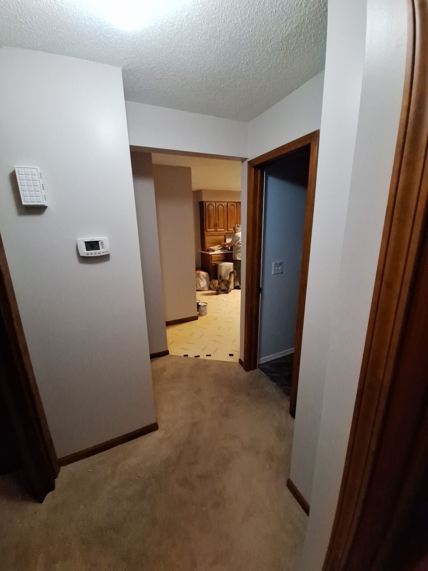 Interior Painting & Drywall Repair in Muskegon, MI | Ceiling & Wall Repaint by Gordon Painting