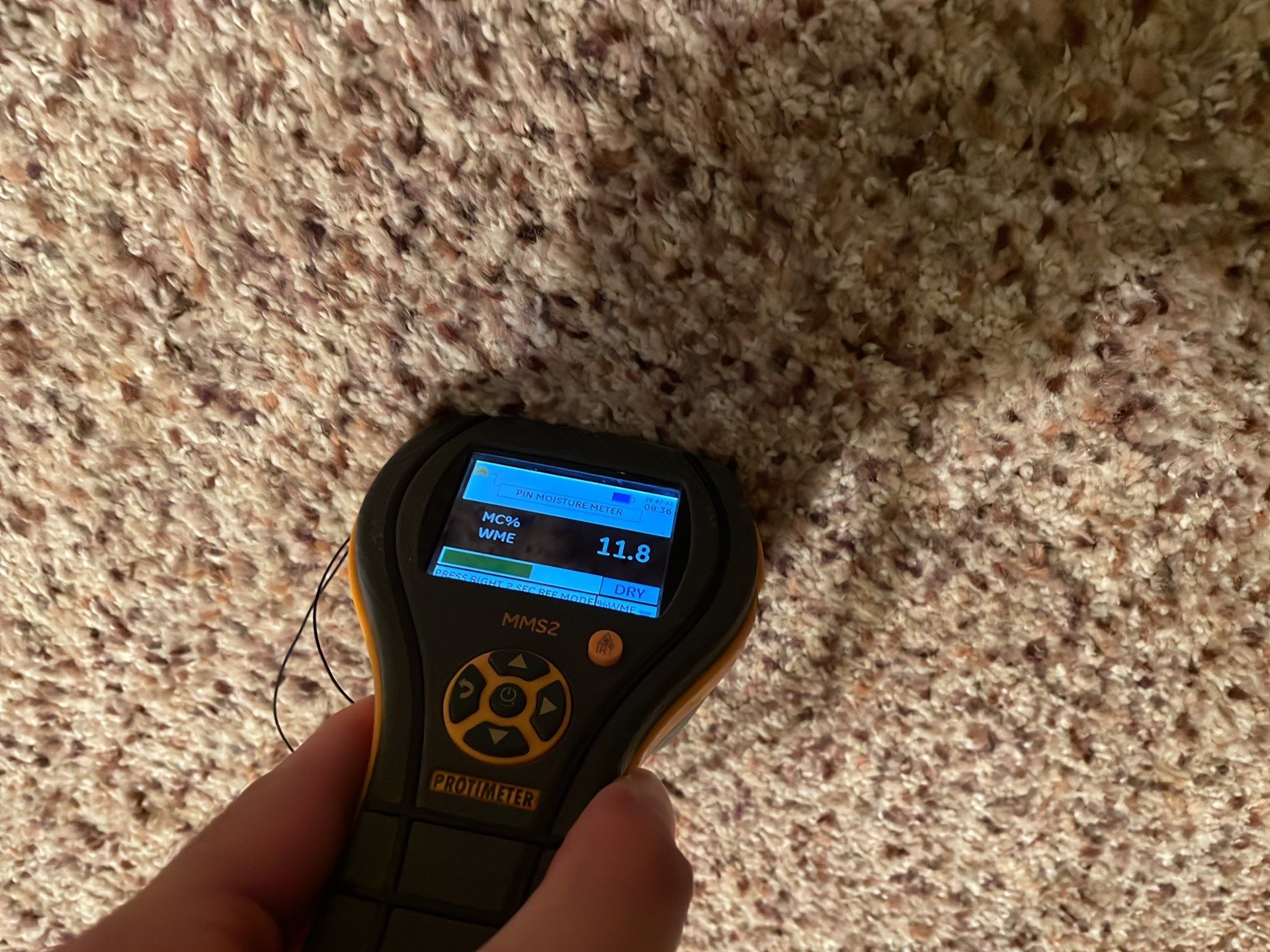 Project in Novi by EzDry Water Mitigation & Property Restoration