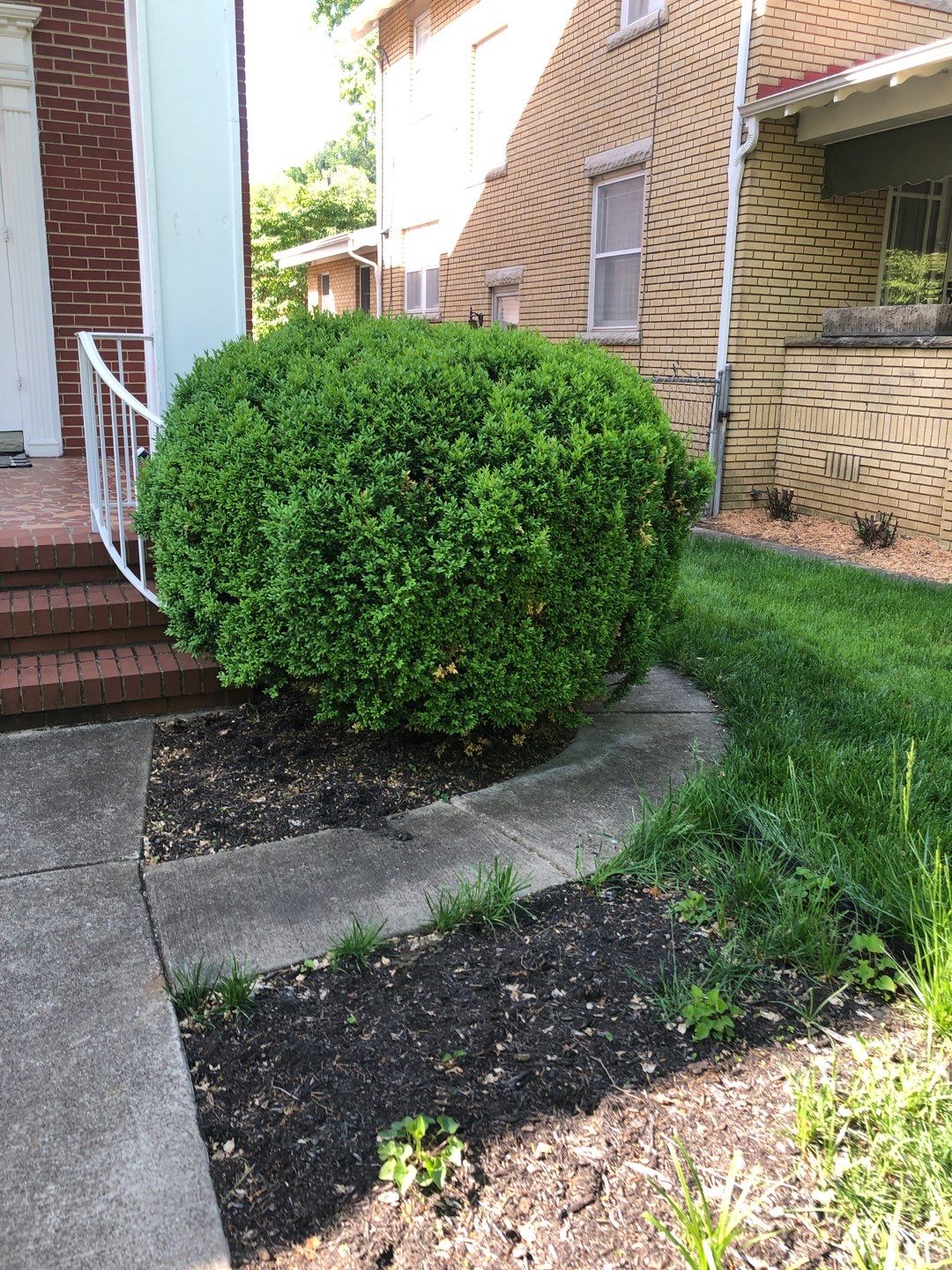 Liriope grasses, mulch and stone pavers by GrassBusters, Inc.