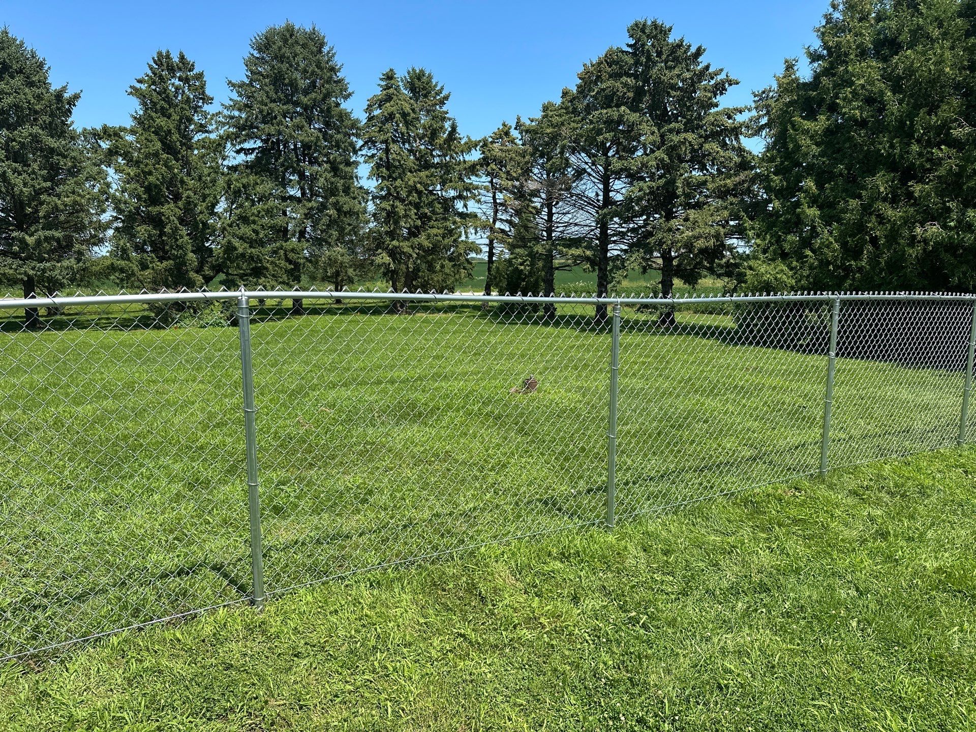 Residential Galvanized Chain Link Perimeter Fence Installation in New Hartford by Perfect Picket Fence and Stain