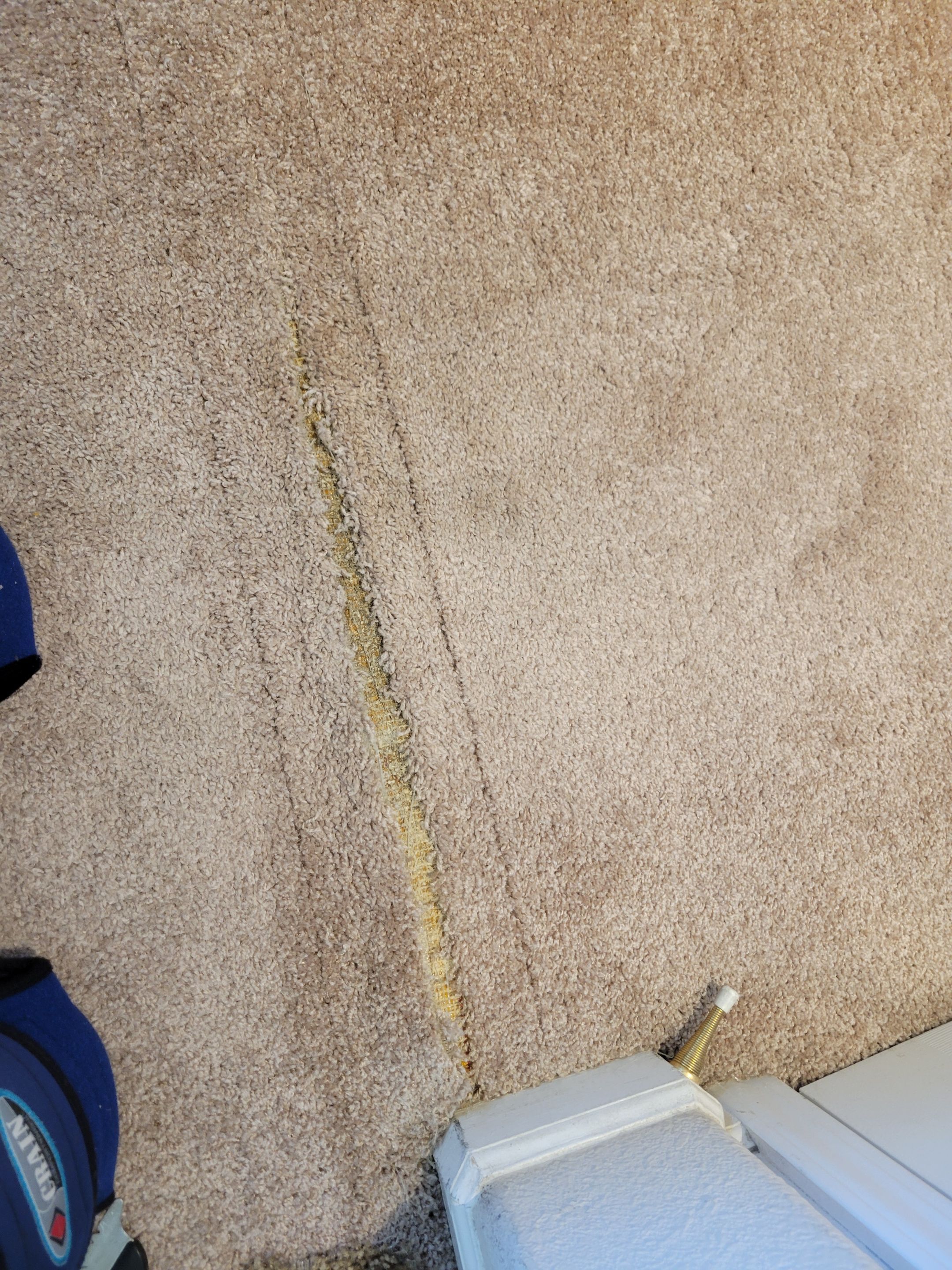 Carpet Re-stretching and Corrective Repair by Ardent Carpet Restore LLC