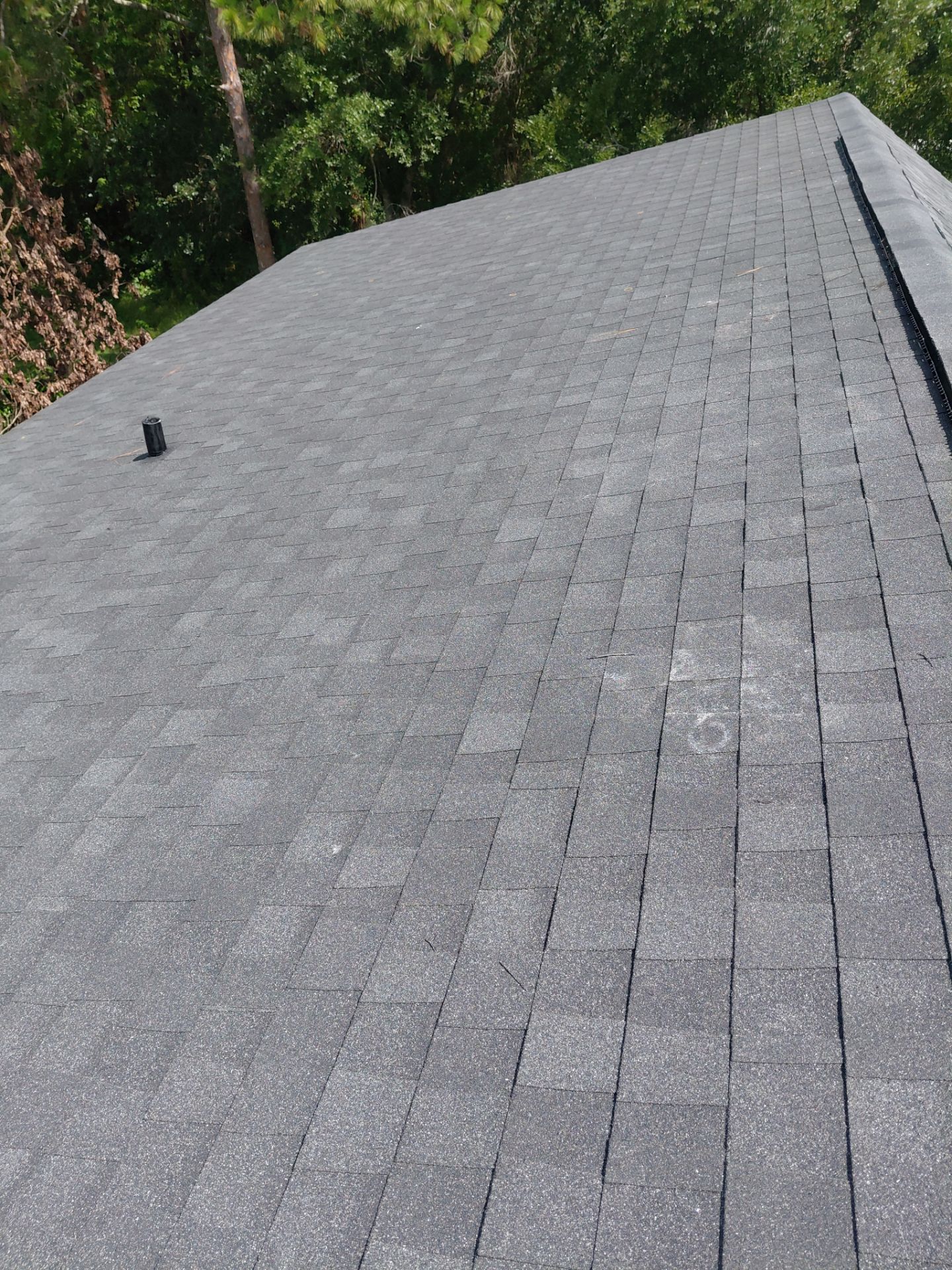 Shingle Reroof Replacement Kissimmee FL by Pinnacle Roofing Group