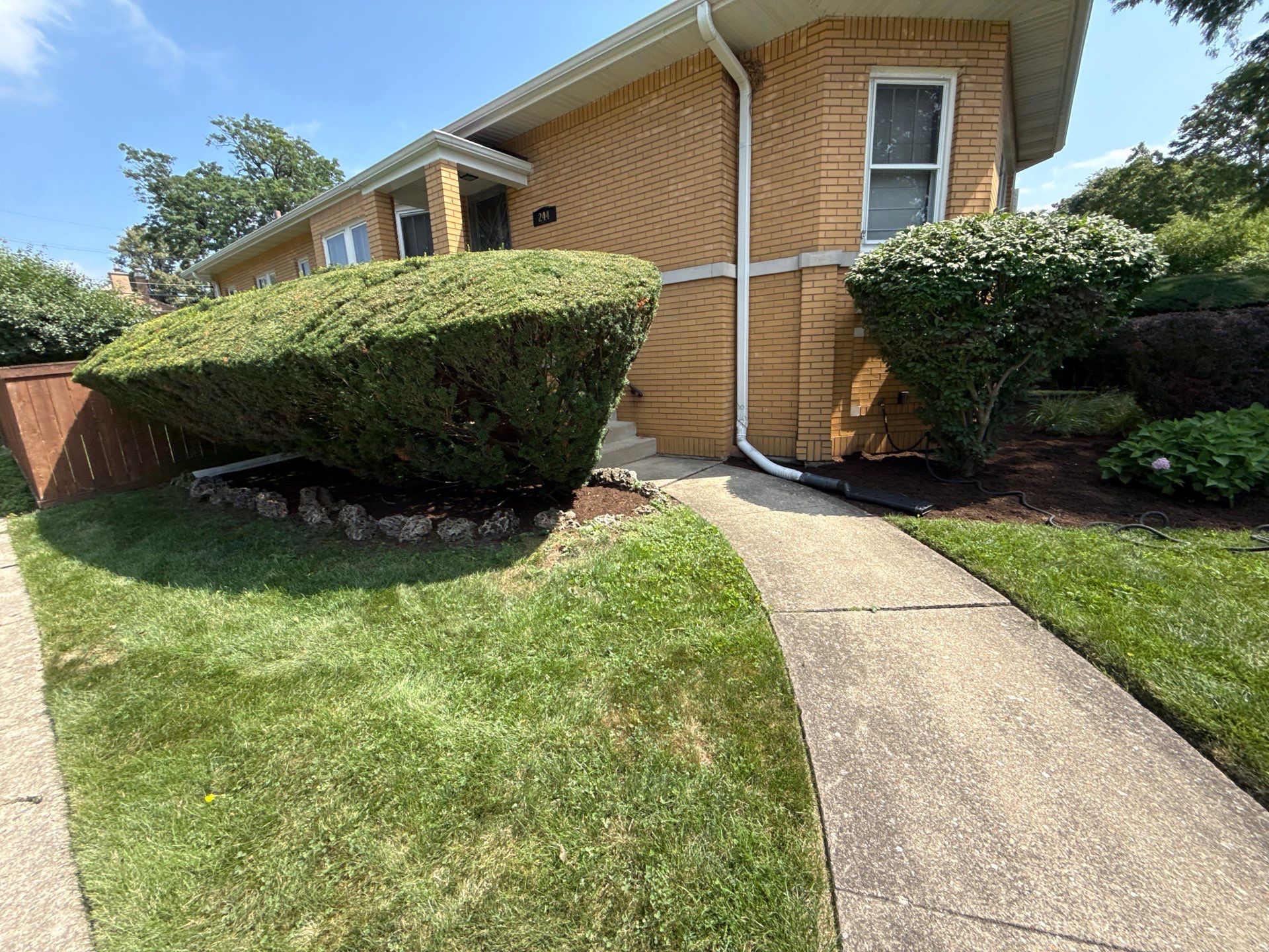 Nancy M. - Park Ridge, IL by A&N