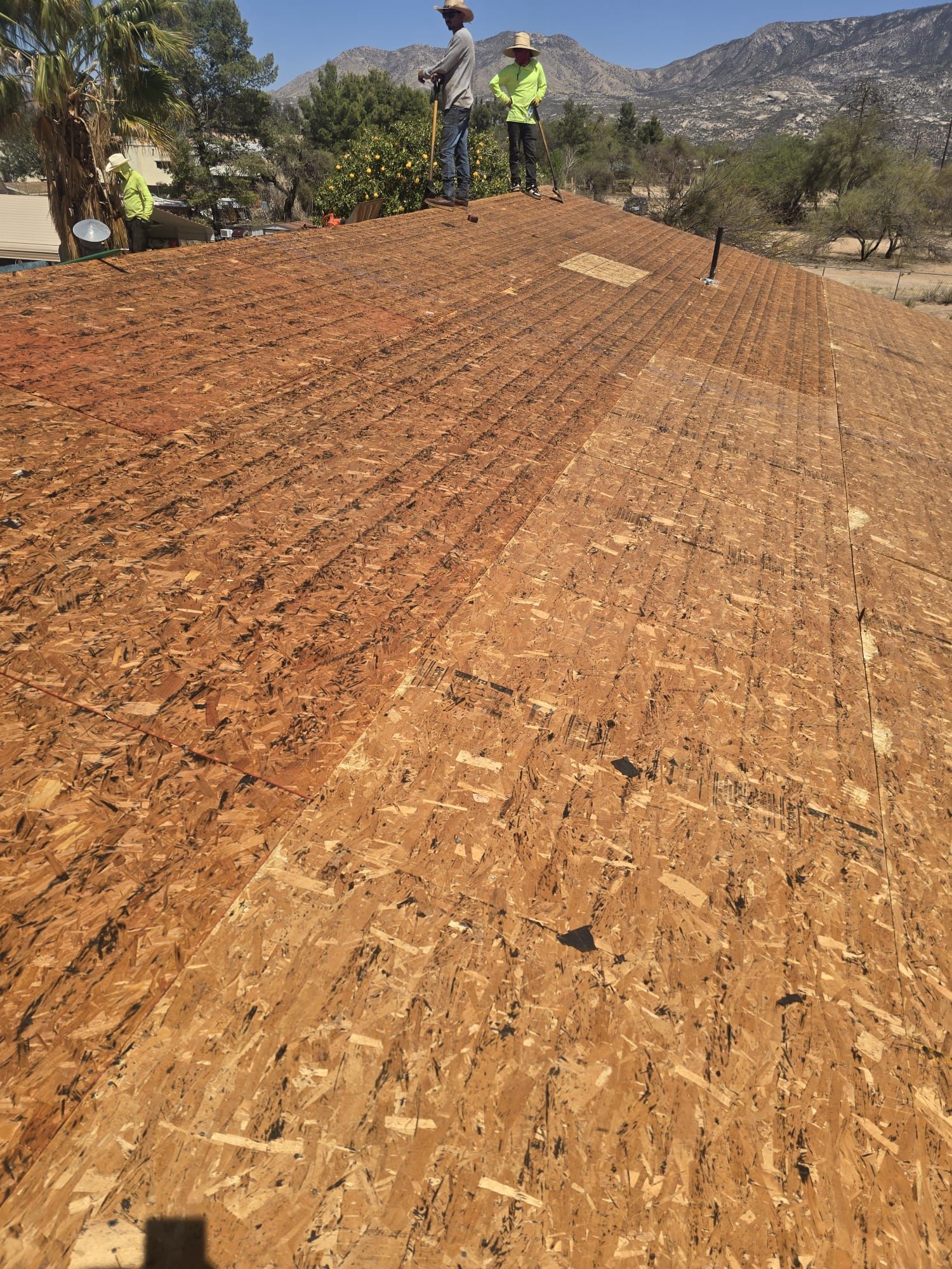 Silver Birch Shingles by Reimagine Roofing