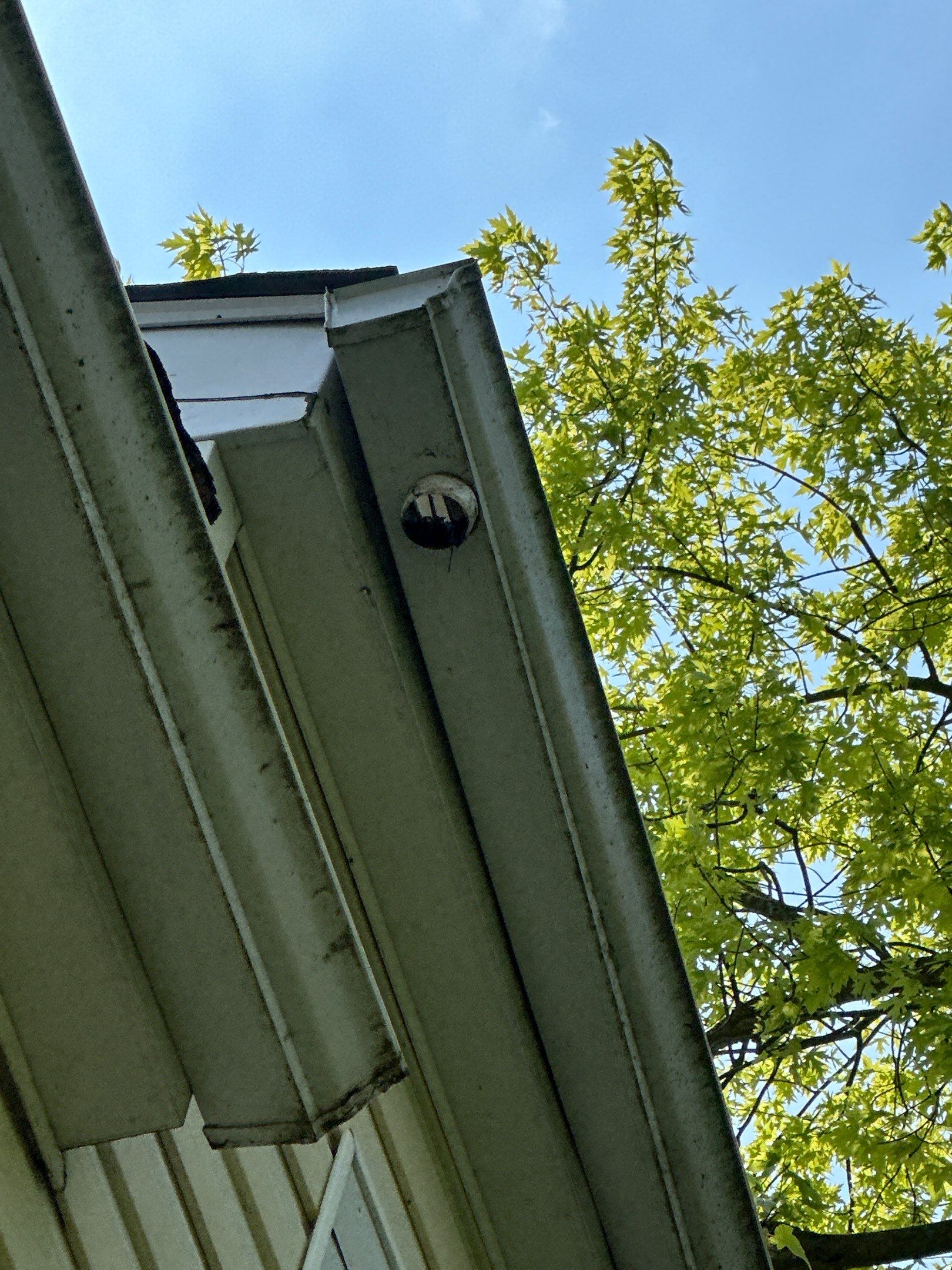 Jonathon Salmons Hail & Tree Damage Report by Constructive Project Management