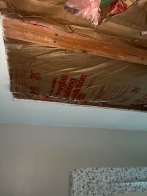 Emergency Water Extraction — Pensacola, FL
