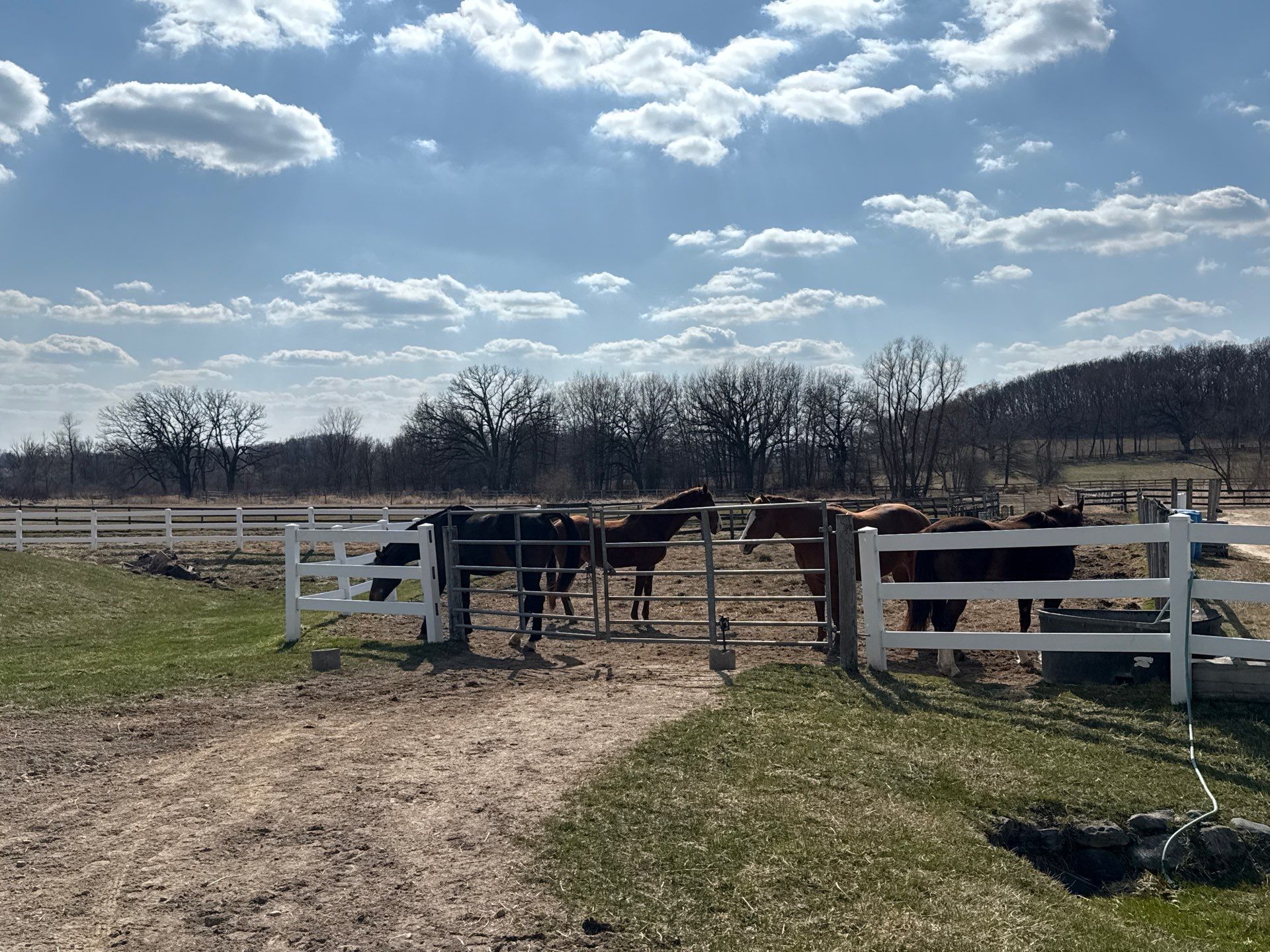 Carrage Ridge Stables by Shulla Exterior Cleaning