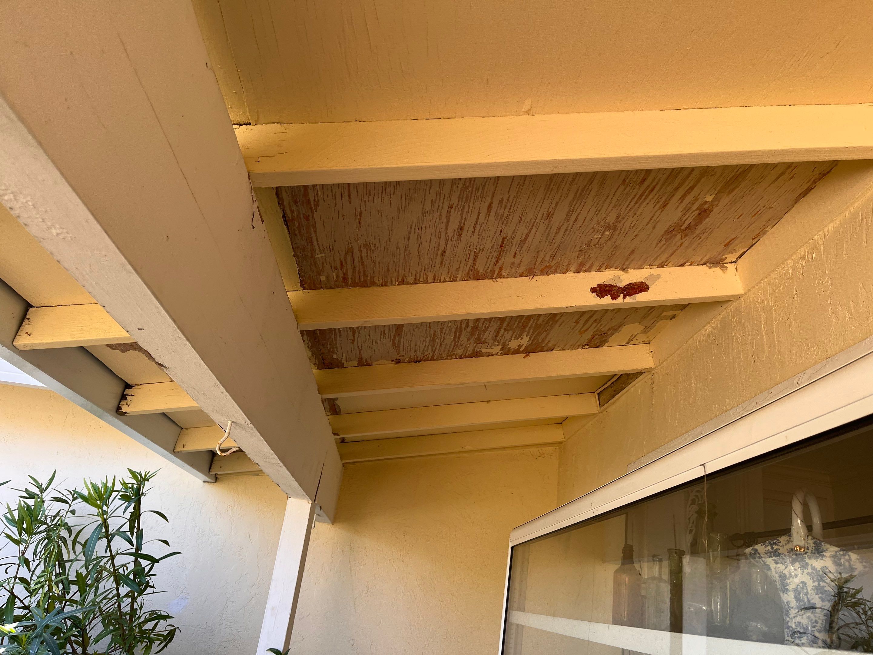 Project in Concord CA by Felix’s Painting 