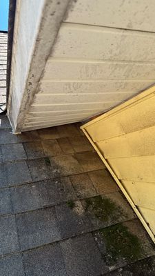 Turtle Shell gutter protection installation in Glen Ellyn, IL 60137, photograph 14