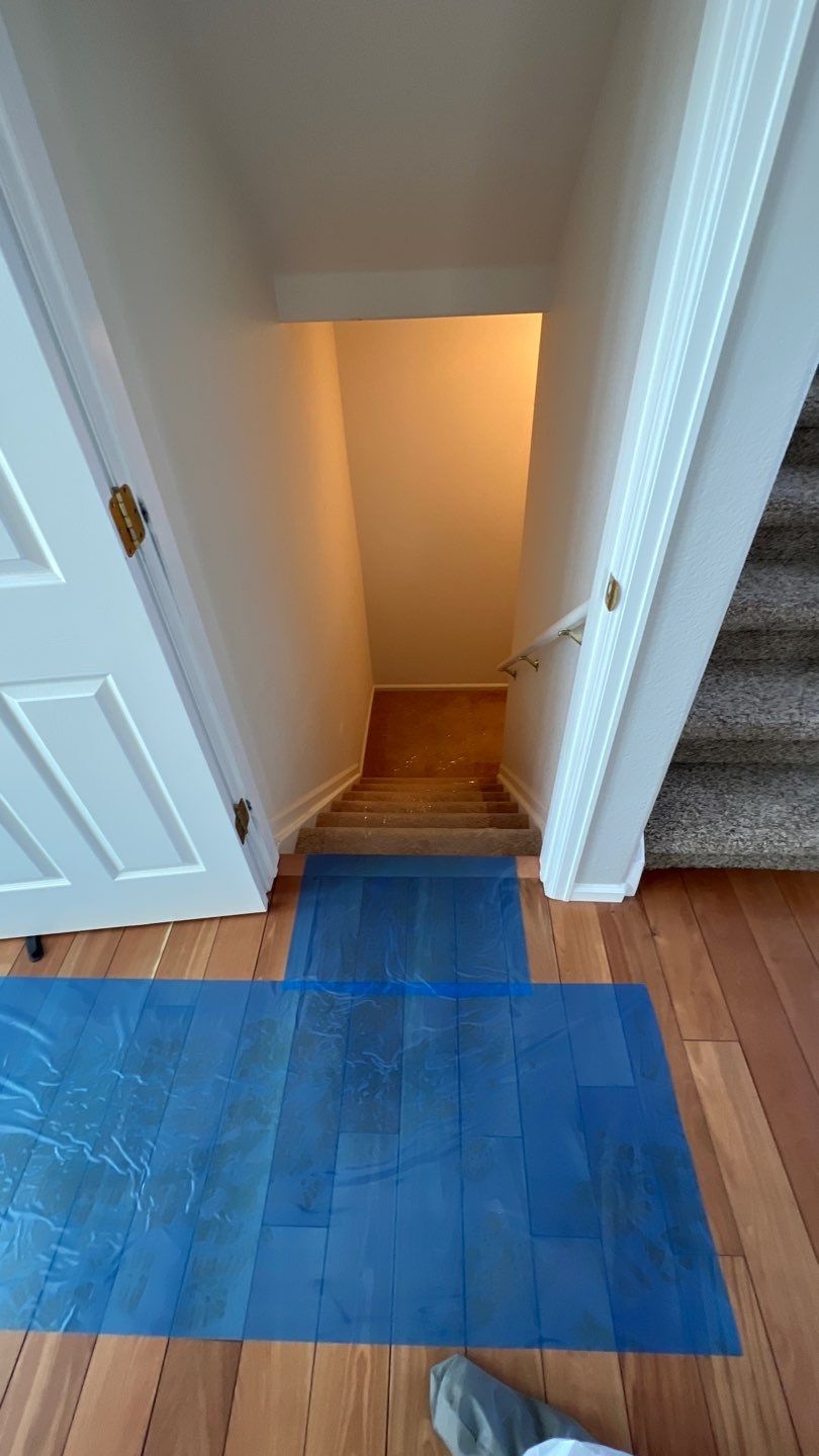 Mold Damage by Accountable Home Services