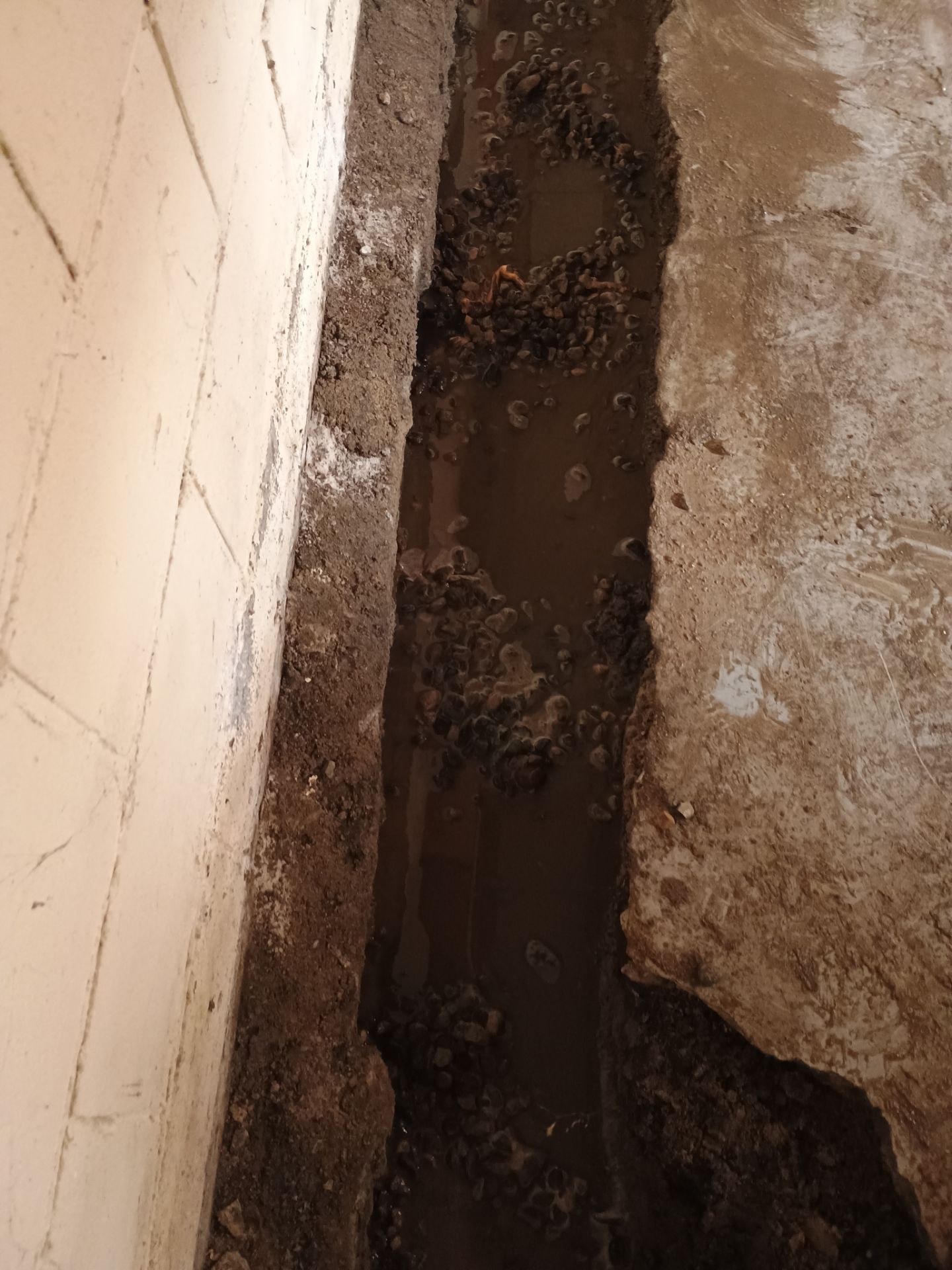 Drain Tile & Sump Pump for Kassie's Rental Property by Waterproofing Northeast