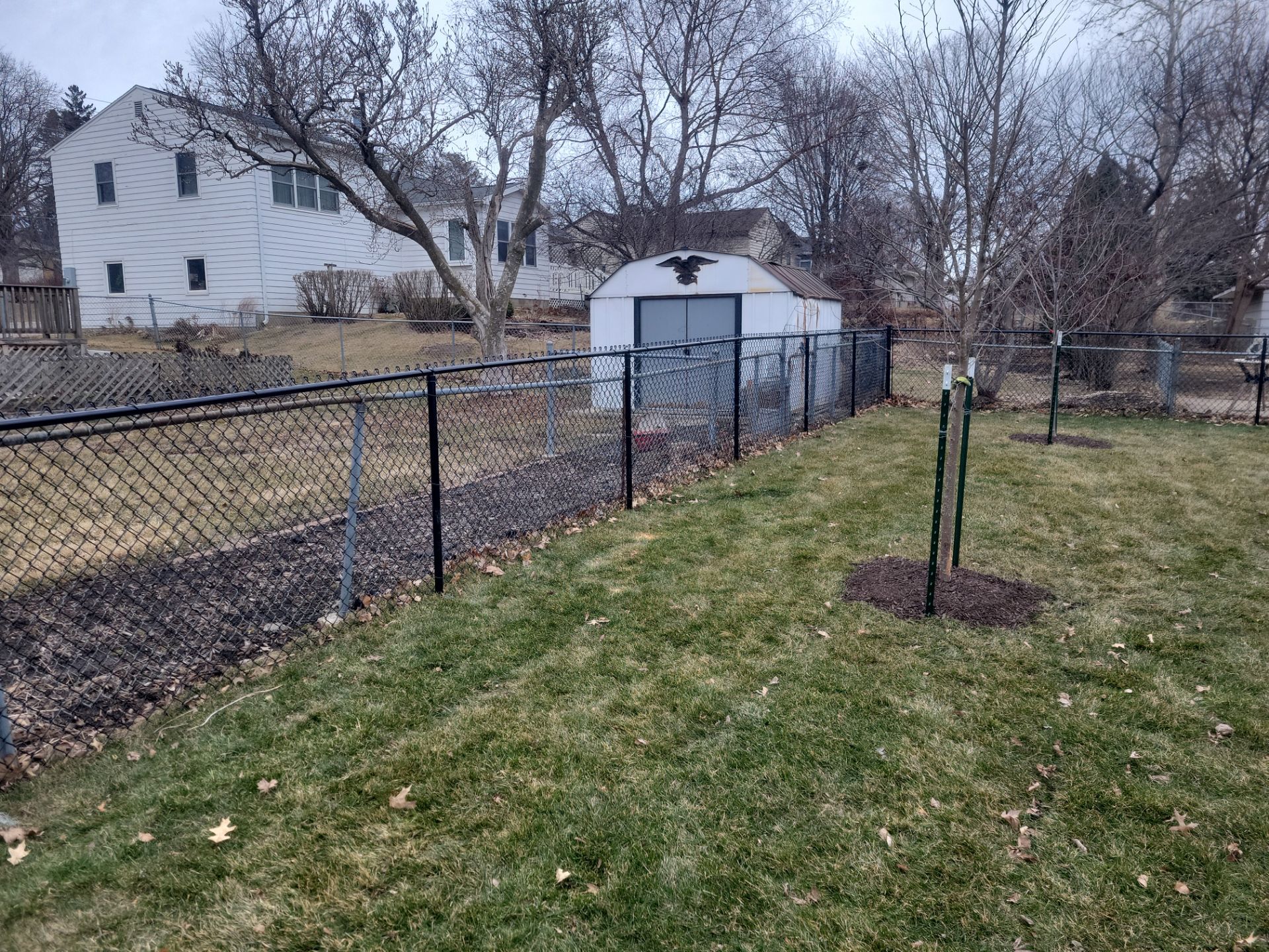 Black Chain Link Backyard Fence and Gate Installation in Cedar Falls by Perfect Picket Fence and Stain