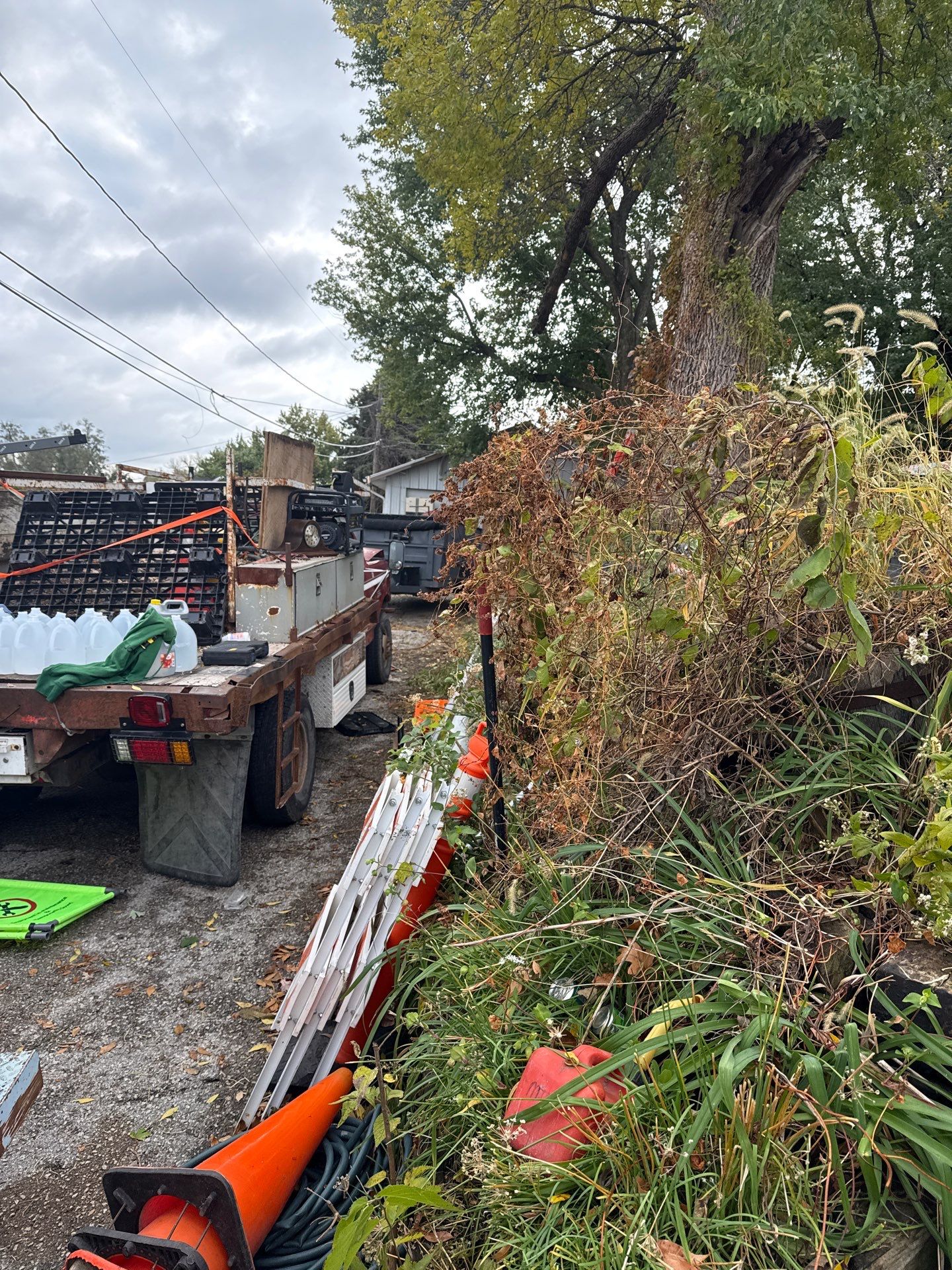 Celt Services Llc featured photo.