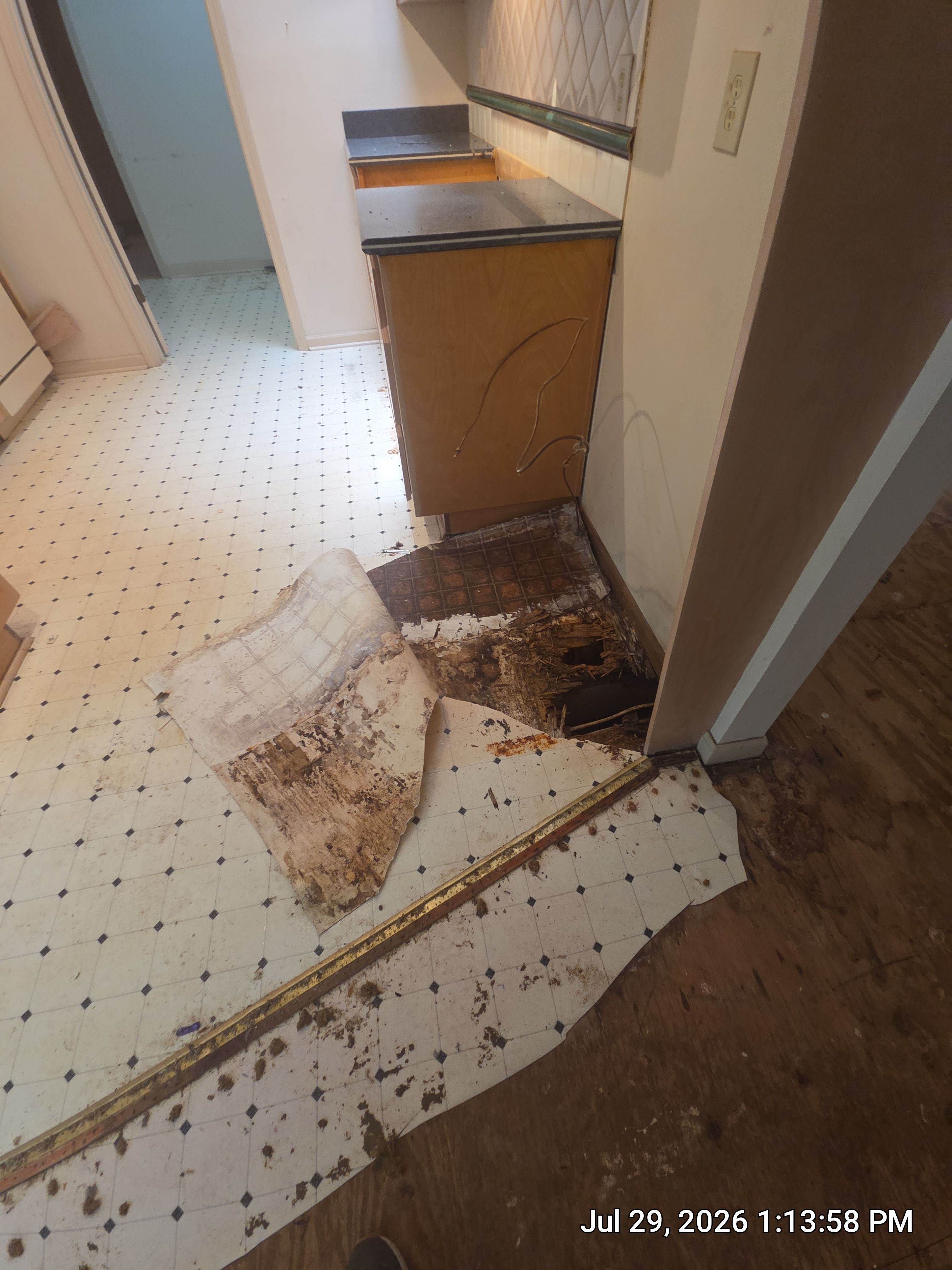 Full Home Subfloor Restoration and Luxury Vinyl Flooring Installation by Flooring Xpress CO